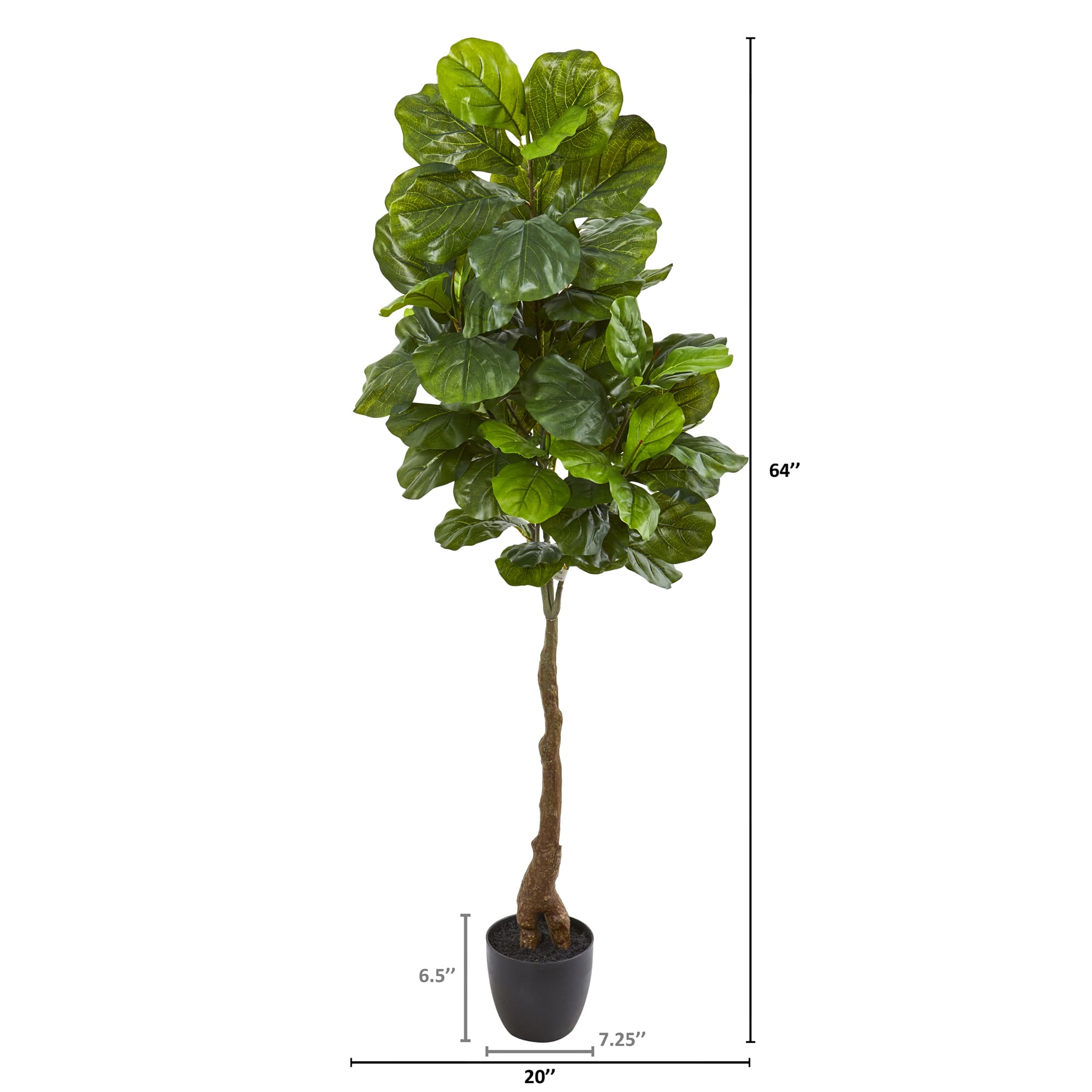 5.3ft. Fiddle Leaf Tree with White Planter