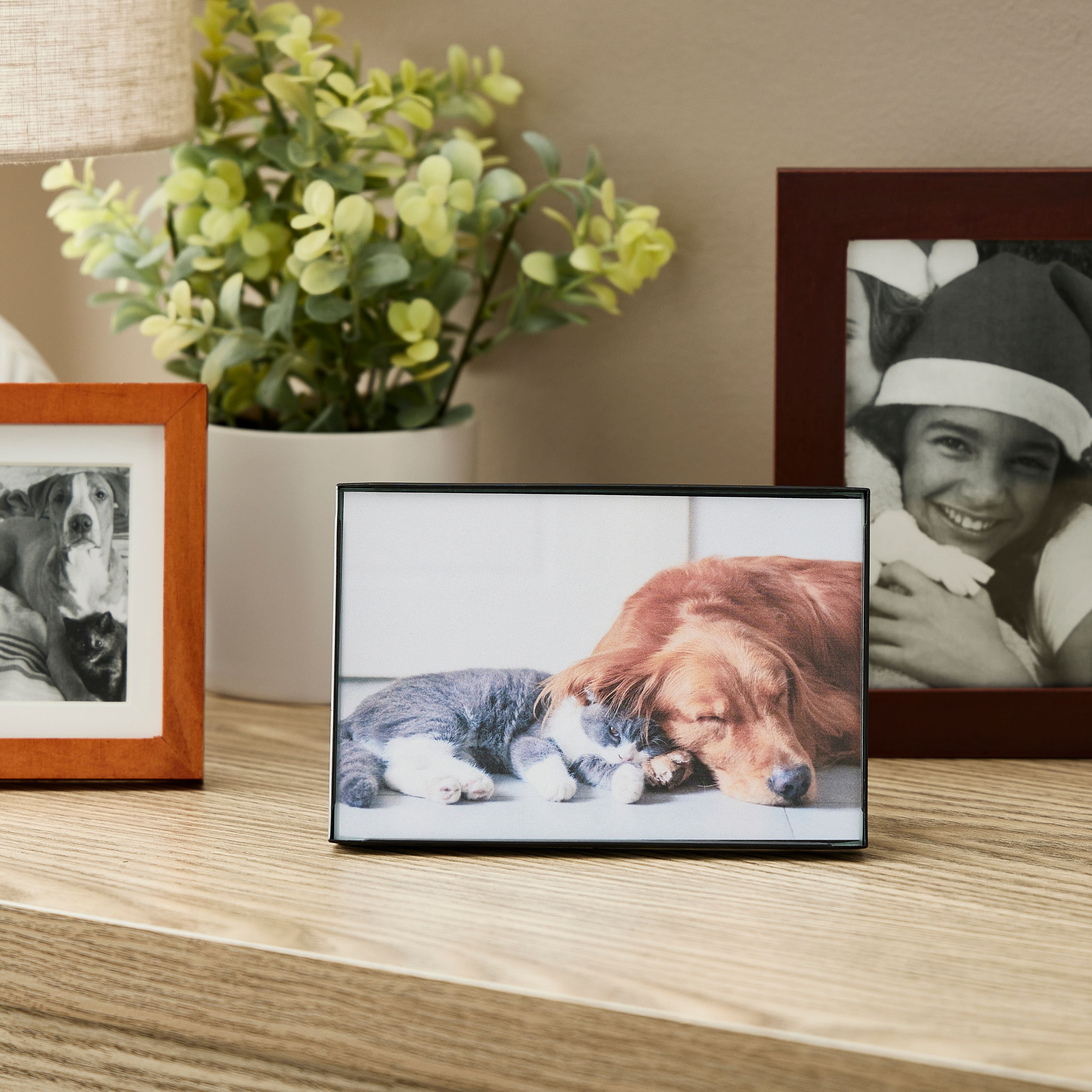 6 Pack: Black Frame, Basics by Studio Décor®