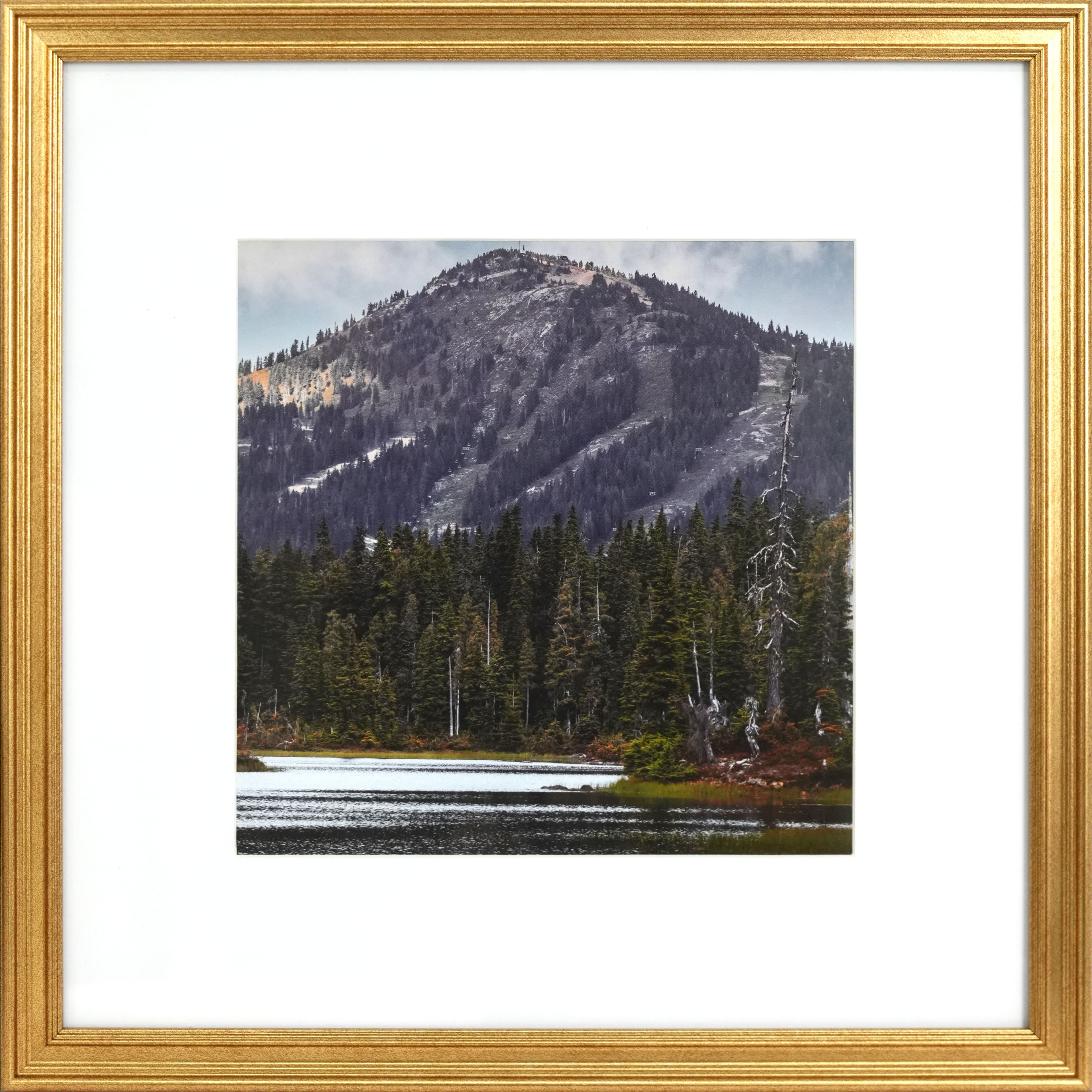 6 Packs: 3 ct. (18 total) Gallery&#x2122; Gold Frame with Mat by Studio D&#xE9;cor&#xAE;