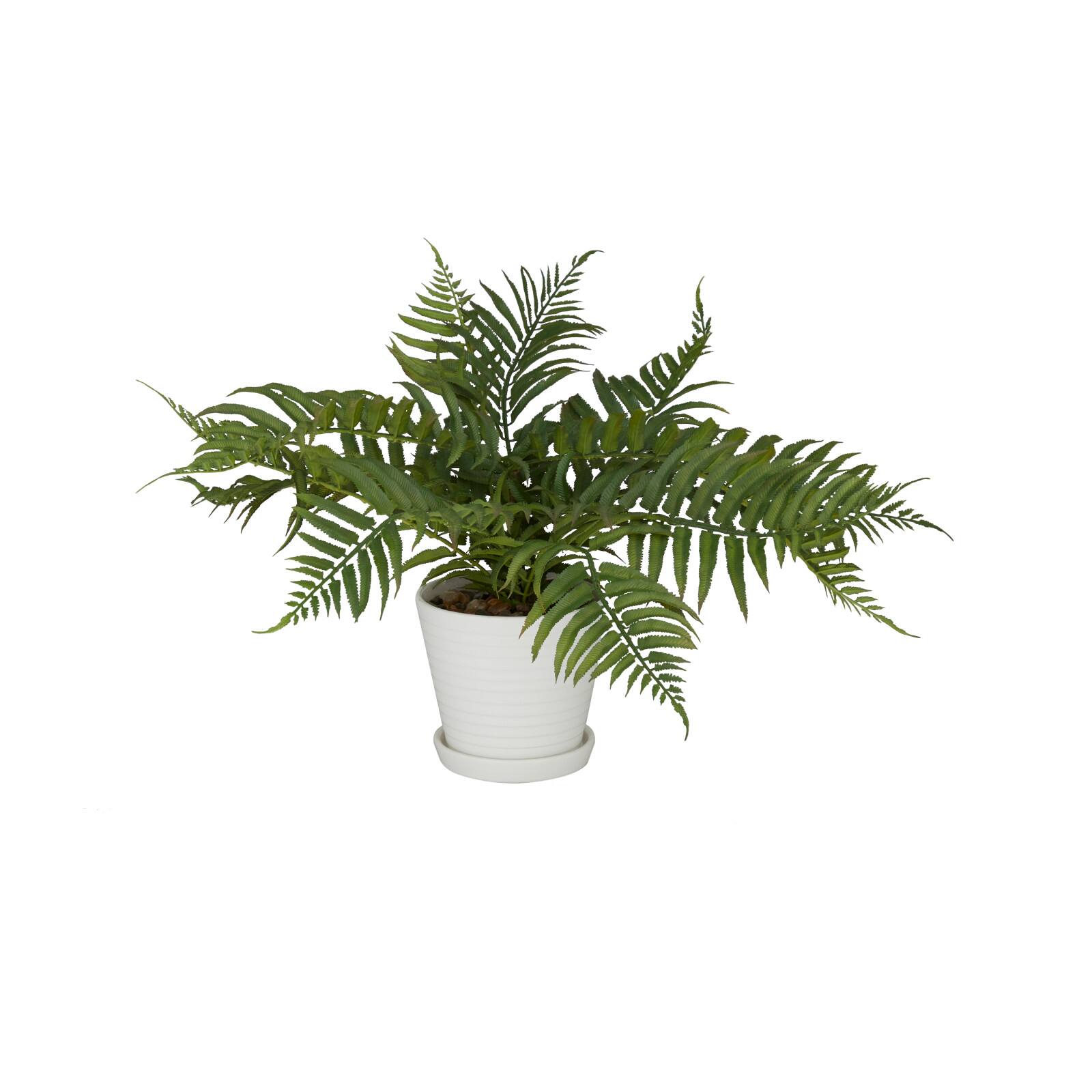 White Traditional Floral and botanical Artificial Foliage, 19&#x22; x 23&#x22; x 14&#x22;