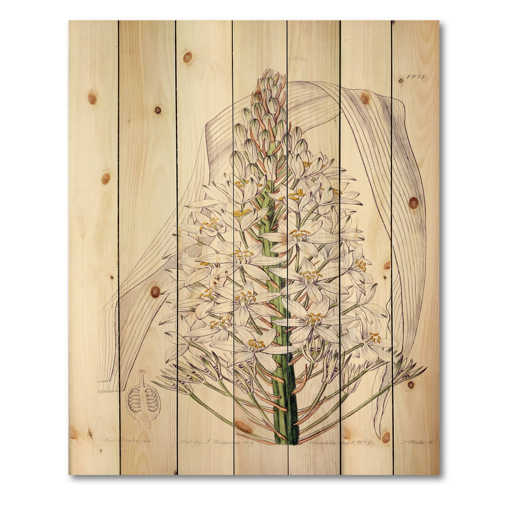 Designart - Vintage White Orchid I - Traditional Print on Natural Pine Wood