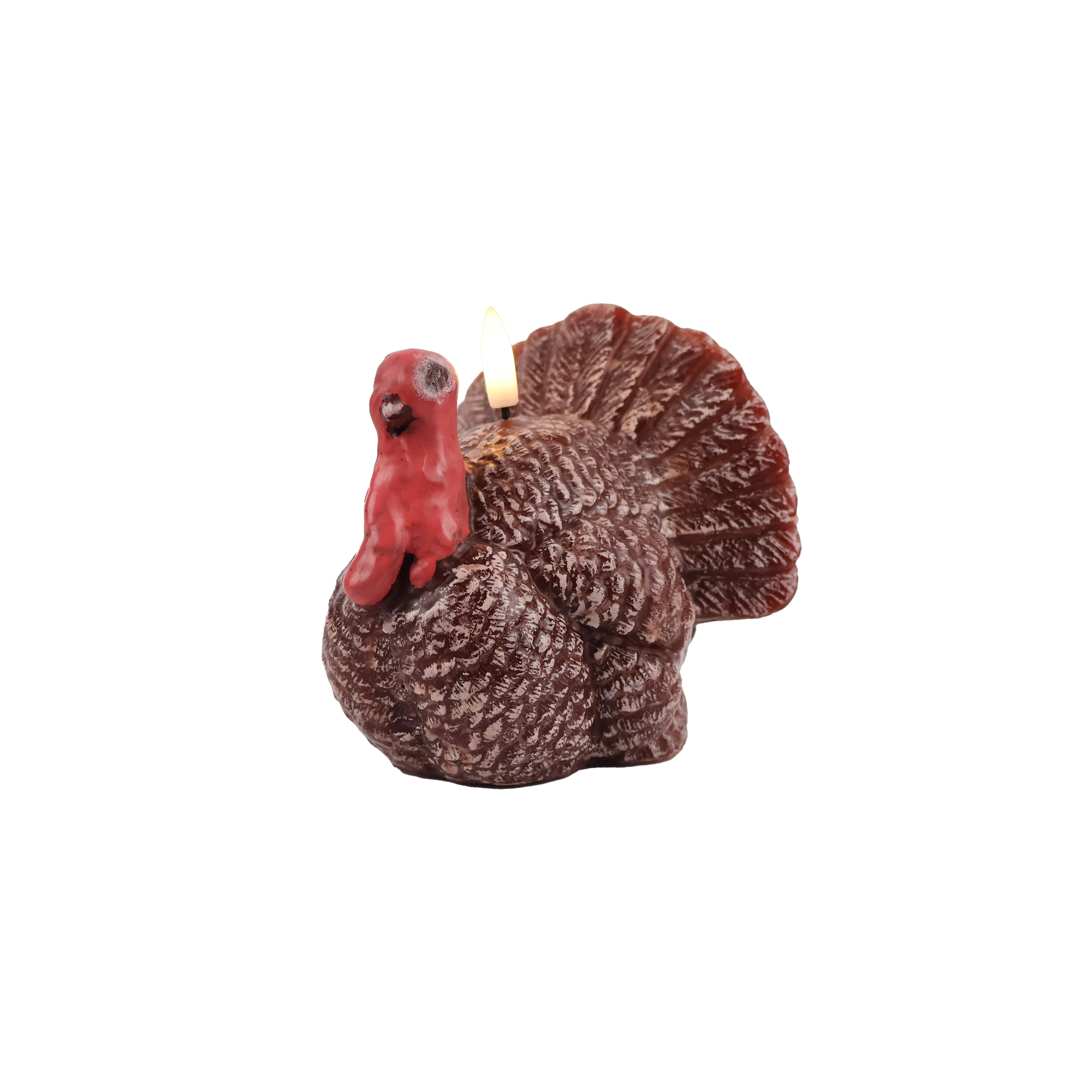 4.5&#x22; Turkey LED Candle by Ashland&#xAE;