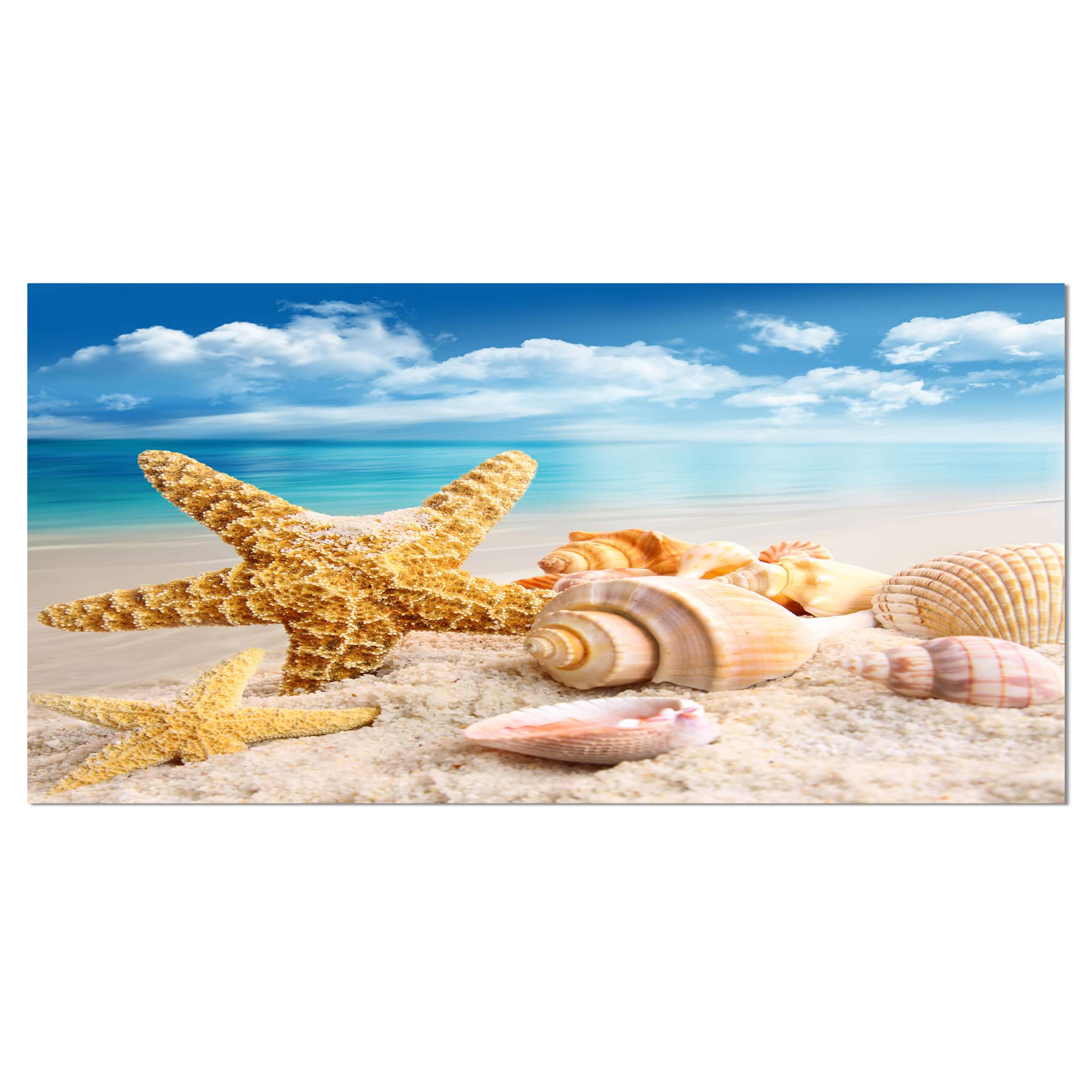 Designart - Starfish and Seashells on Beach - Seashore Photo Canvas Art Print