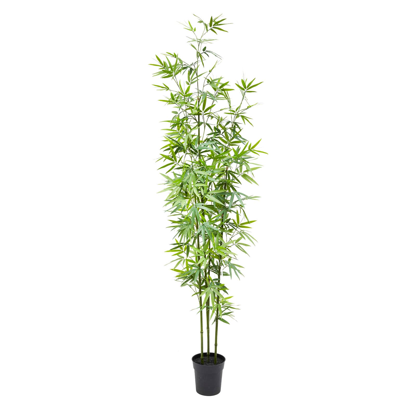 7ft. Potted Bamboo Tree by Ashland&#xAE;