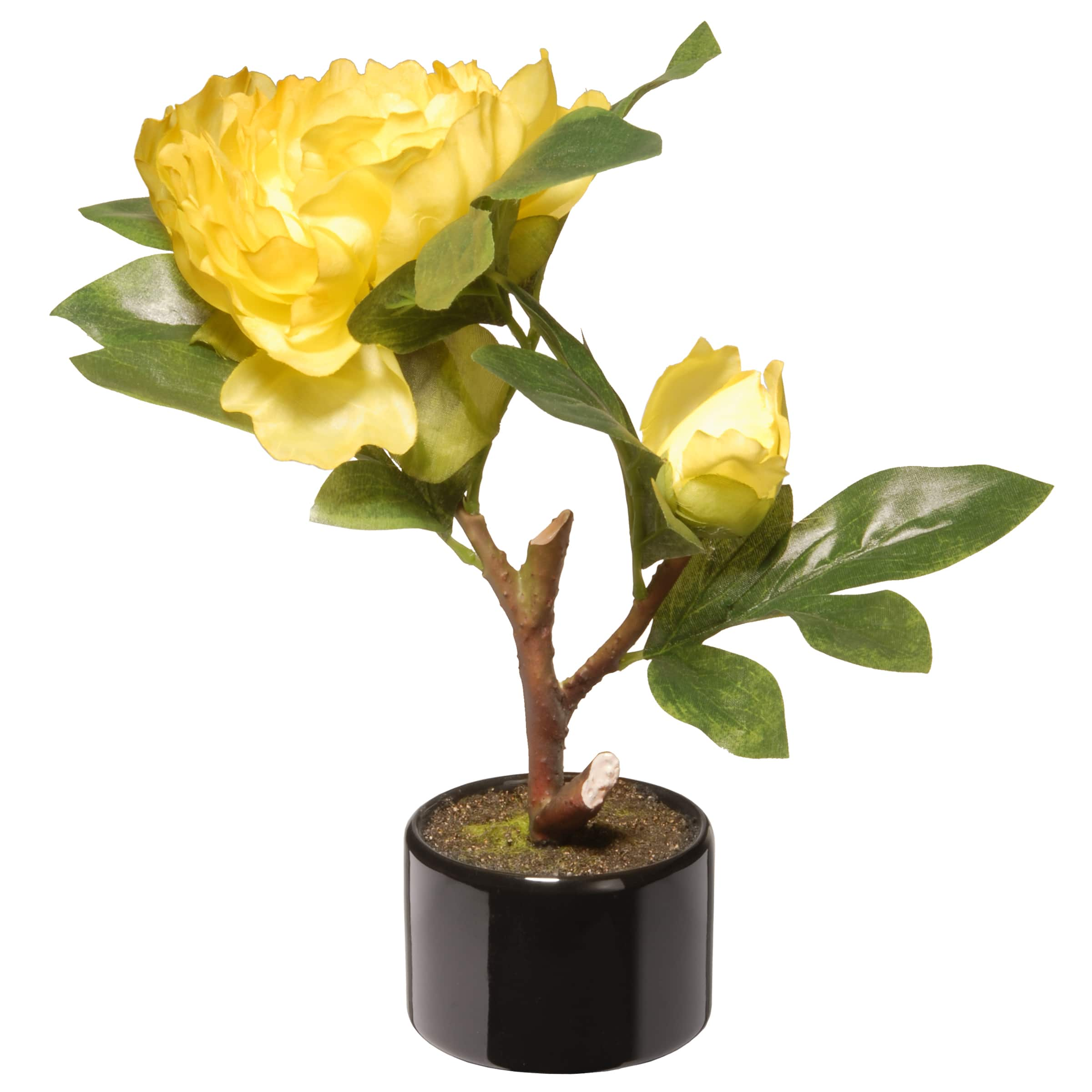 9.5&#x22; Yellow Peony Flower