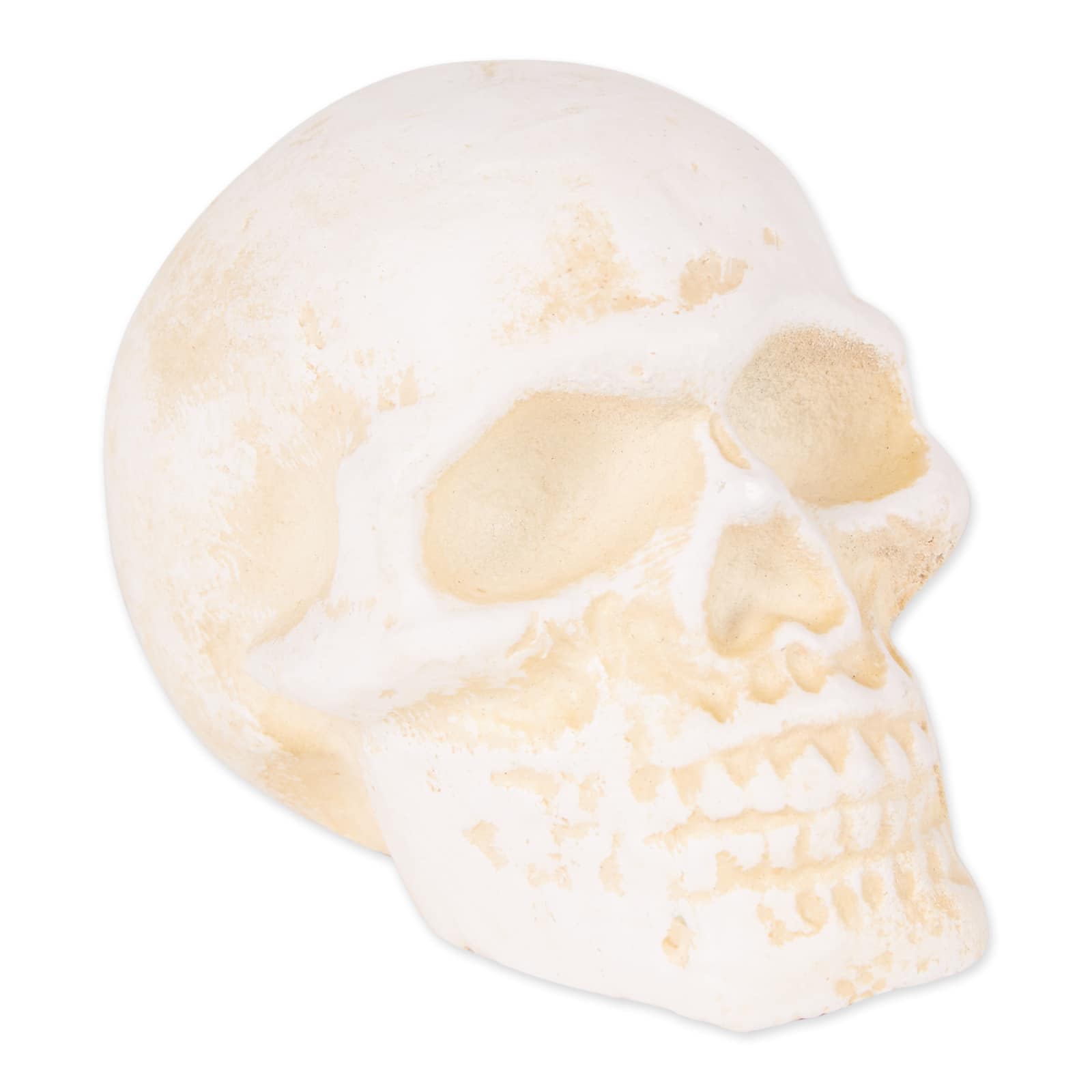 DII&#xAE; Human Skull Cast Iron Paperweight