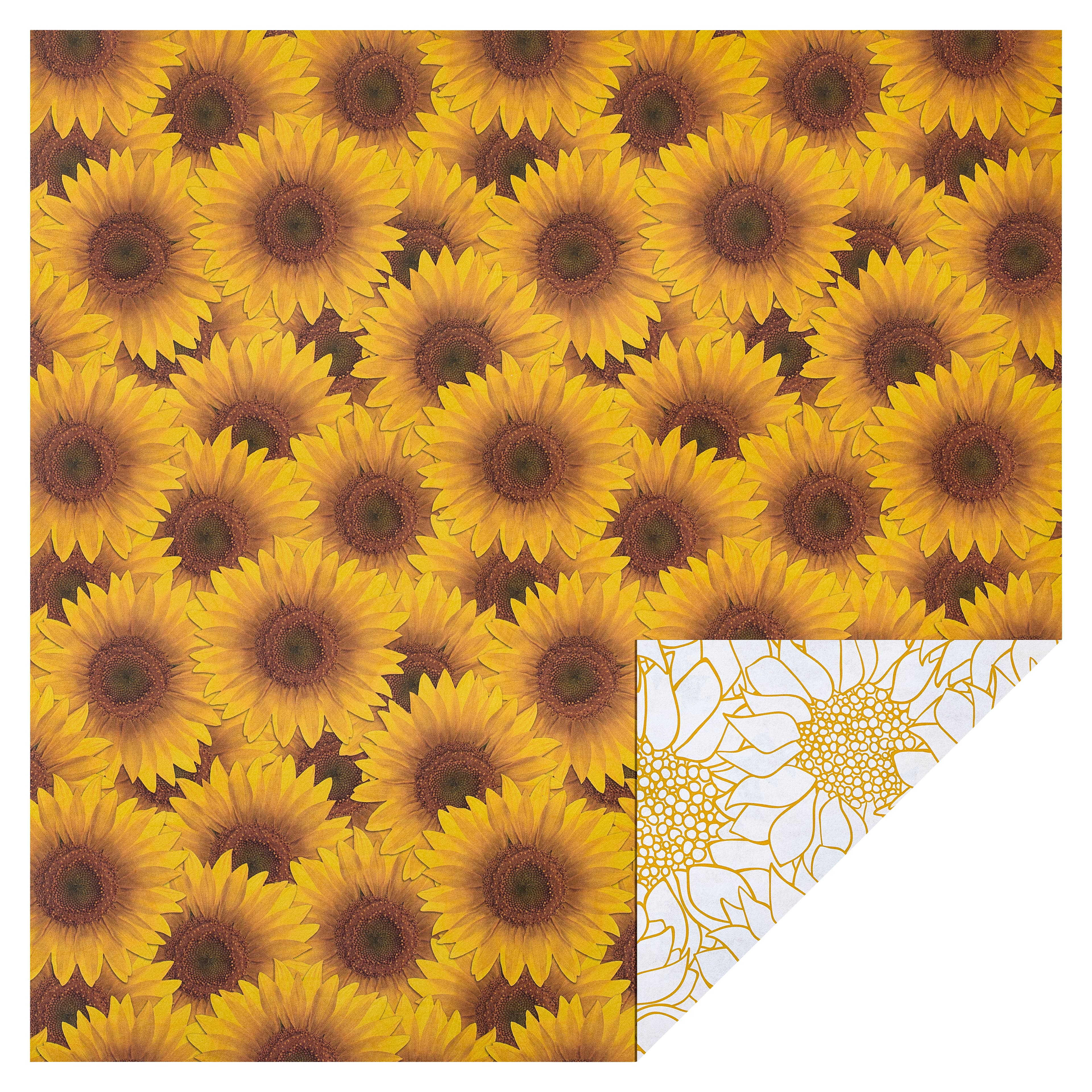 Sunflower Design 12x12 Scrapbooking Paper ~ New 
