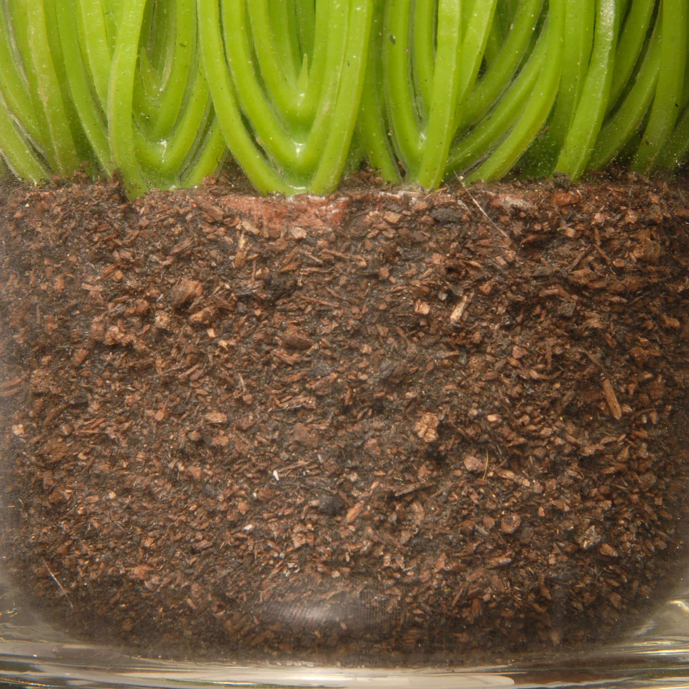 3-Piece Round Sprout-Filled Glass Assortment