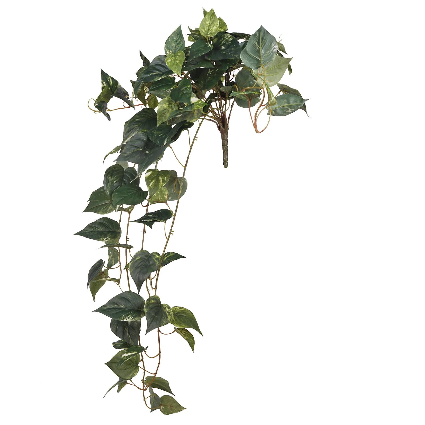 Hanging Pothos Bush by Ashland&#xAE;