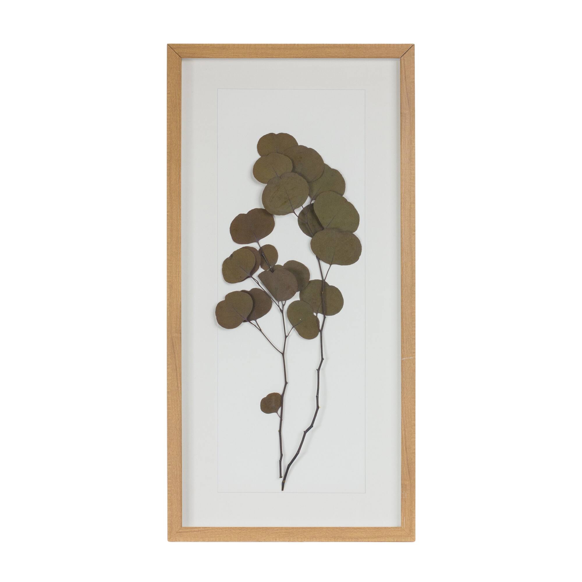 27.75&#x22; Dried Eucalyptus Frame Set