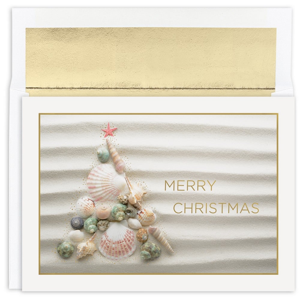 JAM Paper Shell Christmas Cards &#x26; Envelopes Set