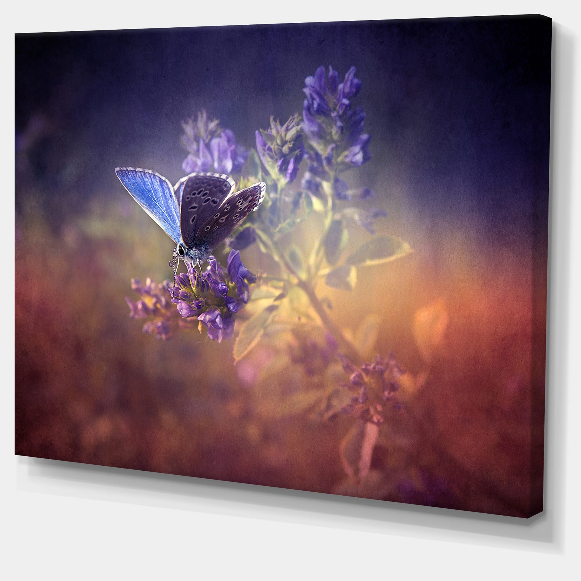Designart - Vintage Butterfly - Floral Art Canvas Print
