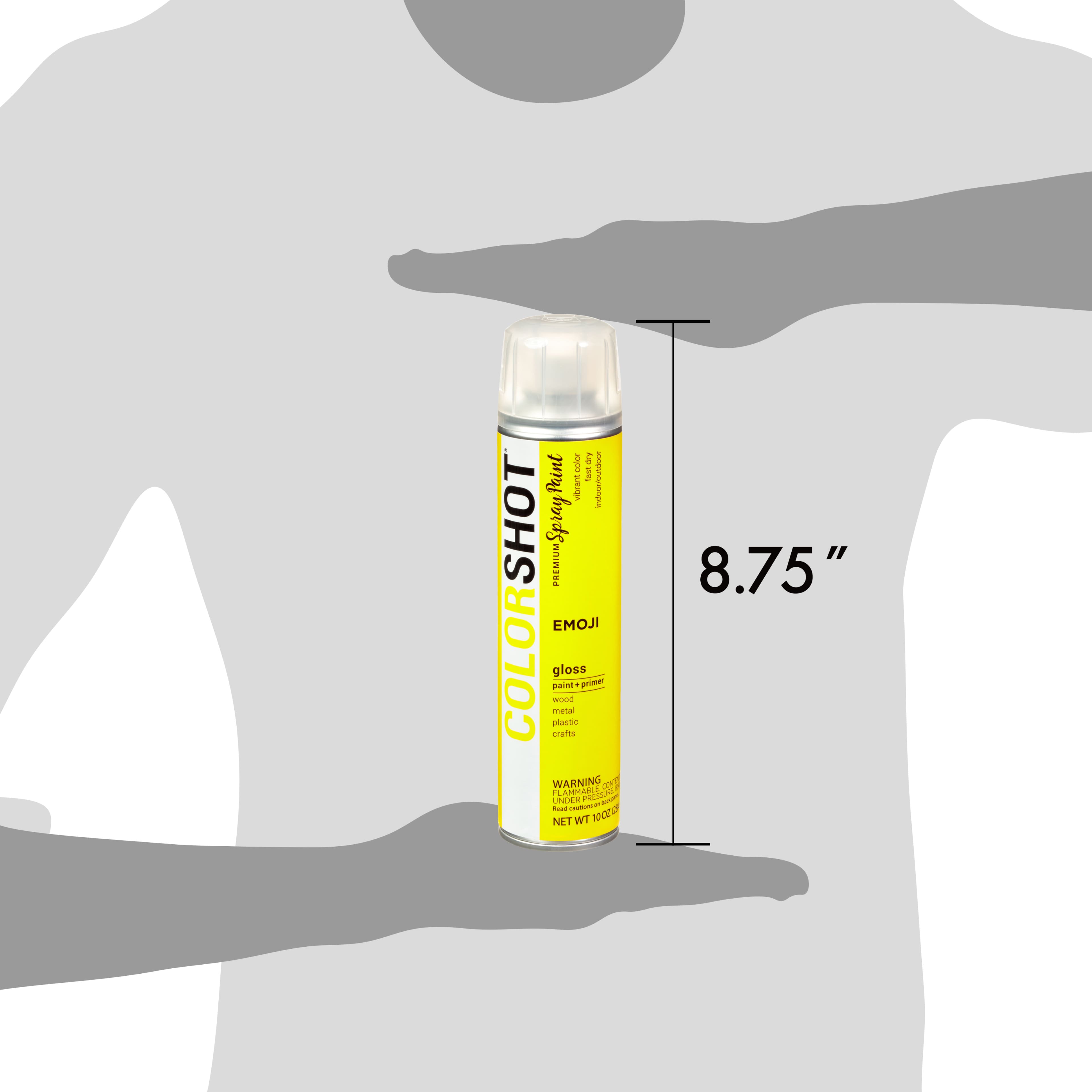 COLORSHOT® Premium Gloss Spray Paint