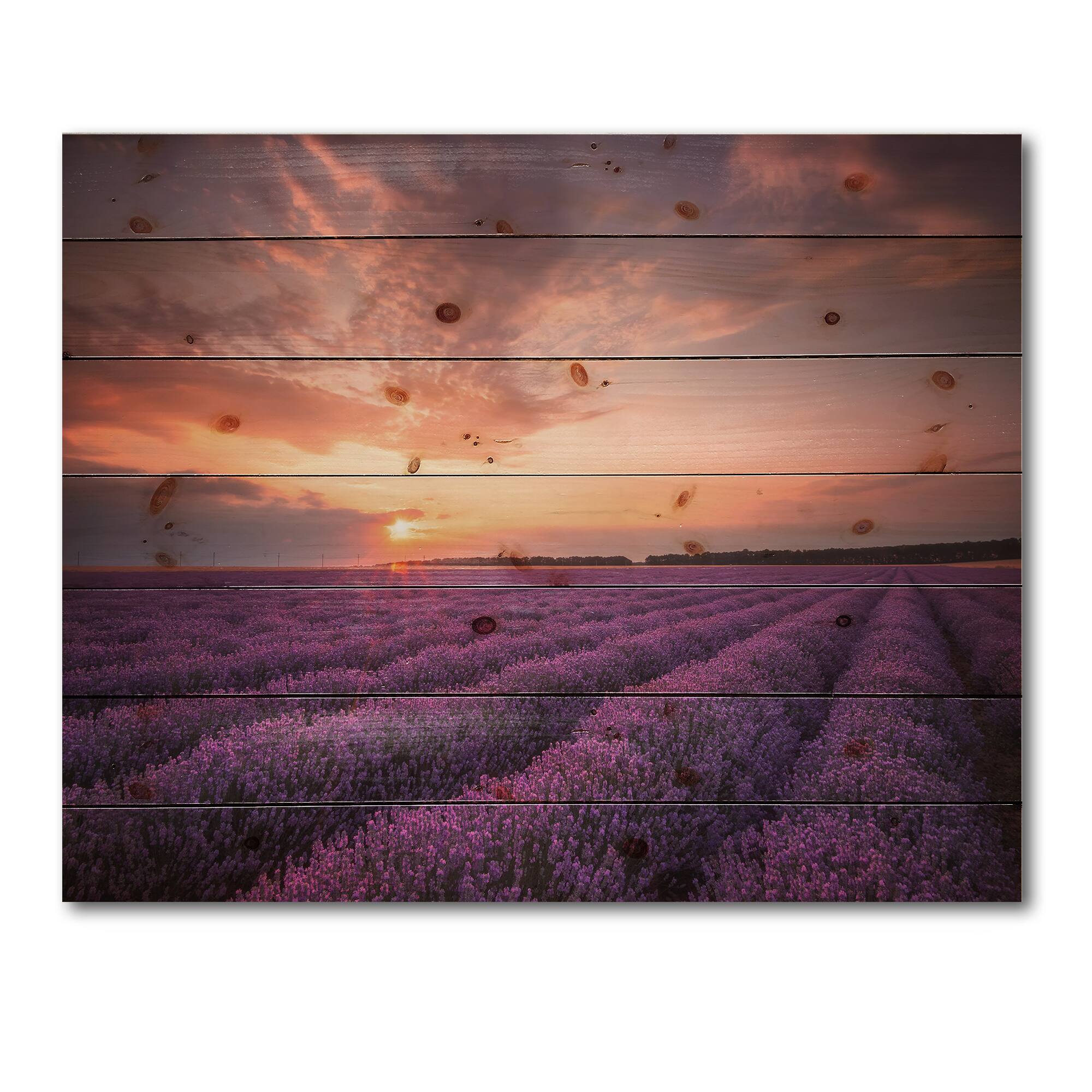 Designart - Sunrise &#x26; Dramatic Clouds Over Lavender Field XII - Farmhouse Print on Natural Pine Wood