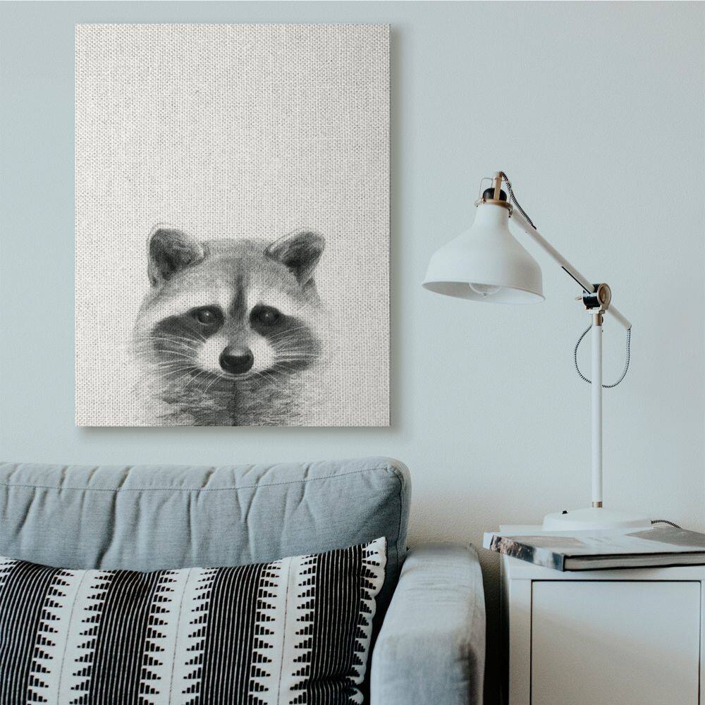 Stupell Industries Raccoon Portrait Grey Drawing Design Canvas Wall Art