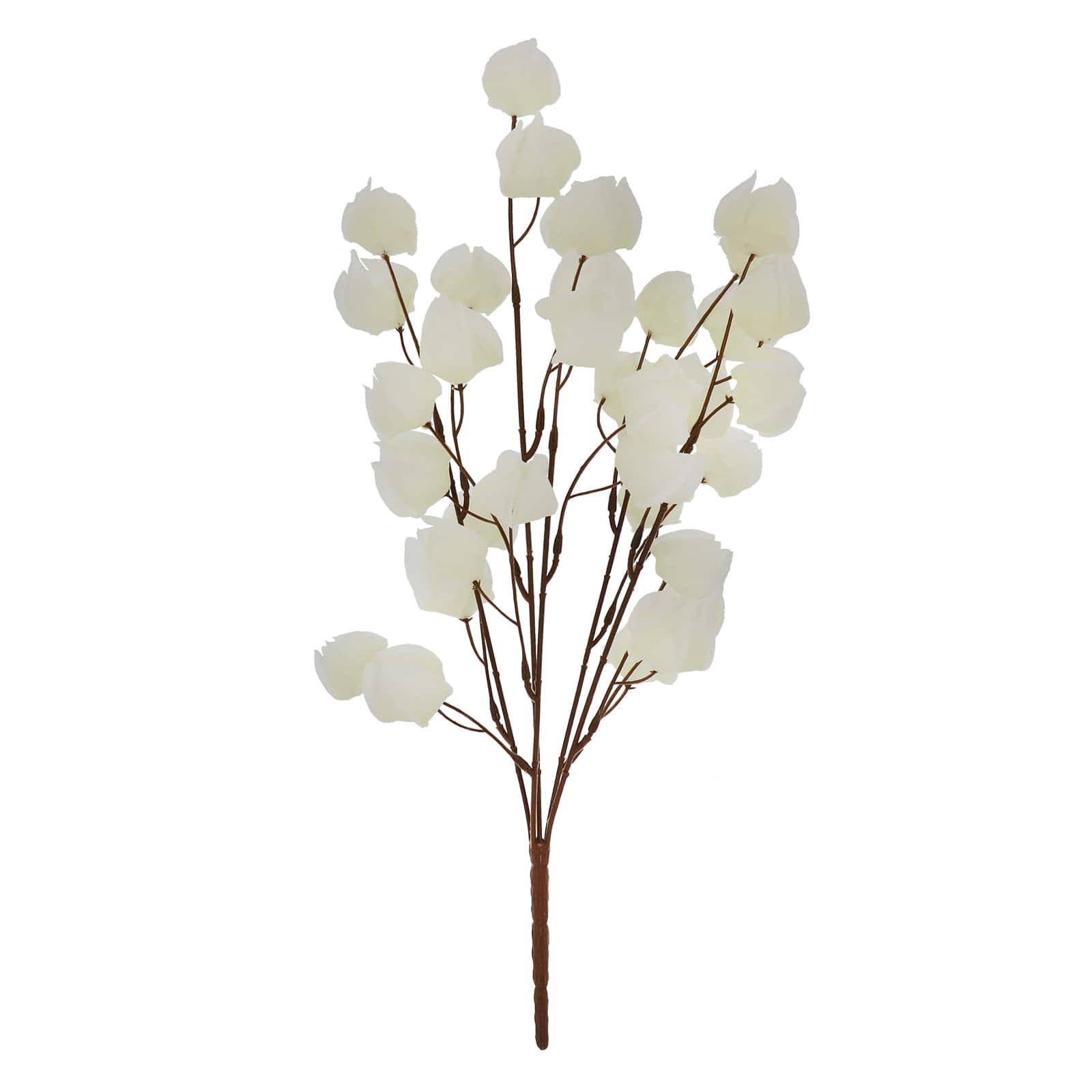19&#x22; Basic Chinese Lantern Bush by Ashland&#xAE;
