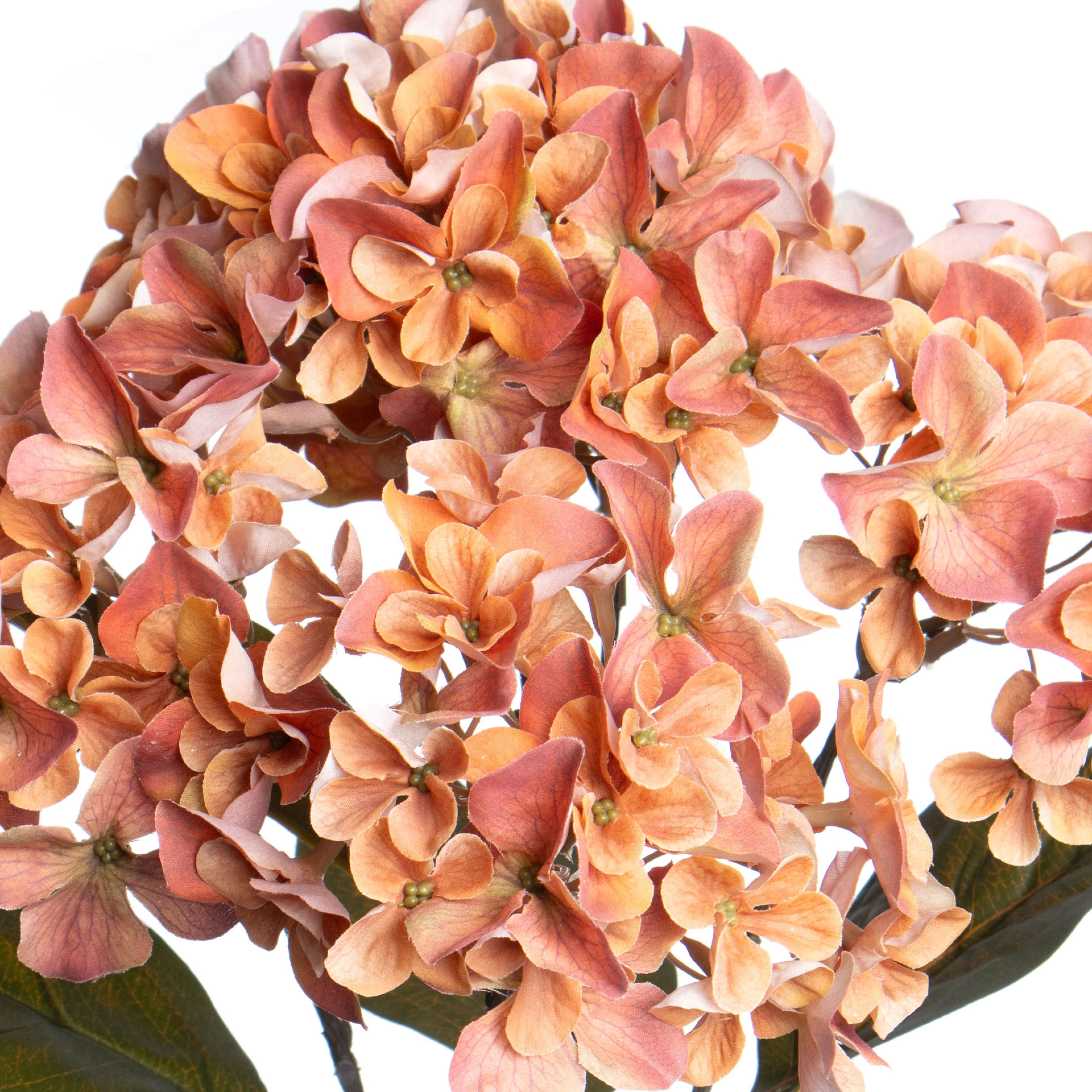 20&#x22; Rust Hydrangea Deluxe Bush by Ashland&#xAE;