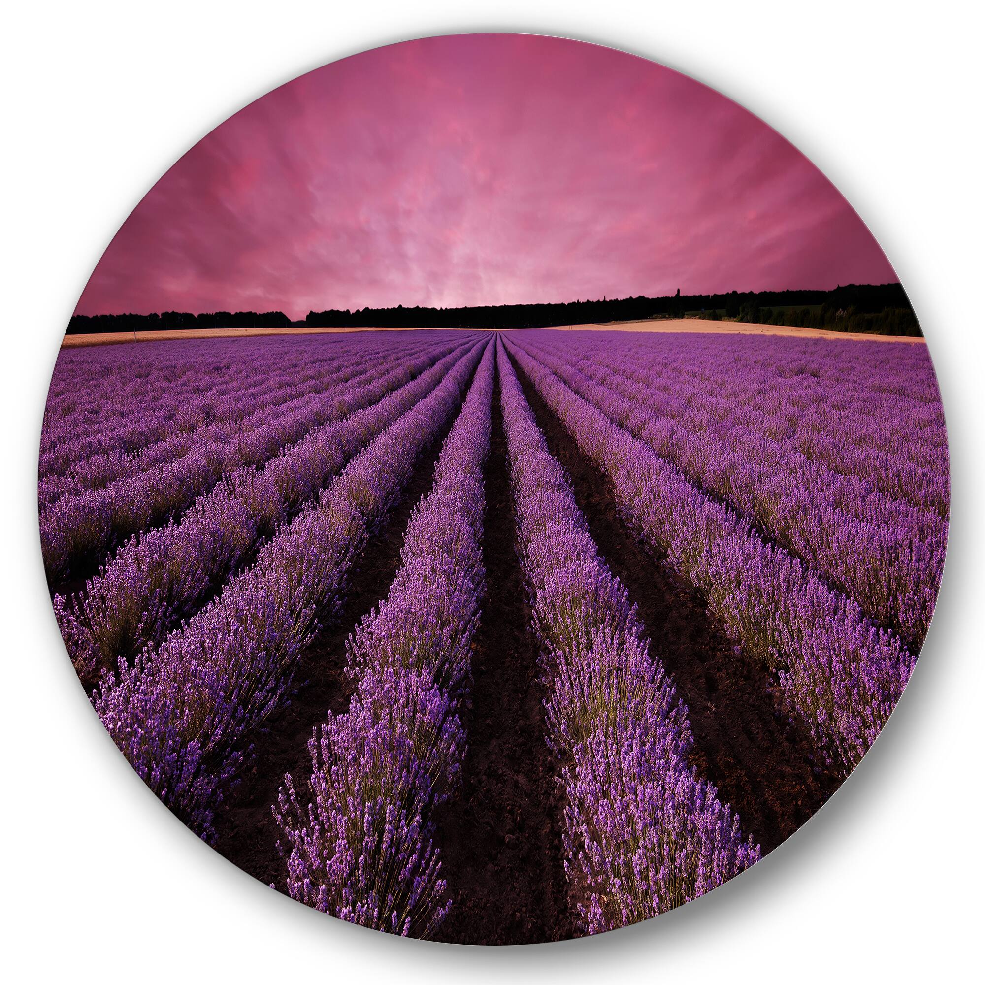 Designart - Sunrise &#x26; Dramatic Clouds Over Lavender Field XI - Farmhouse Metal Circle Wall Art