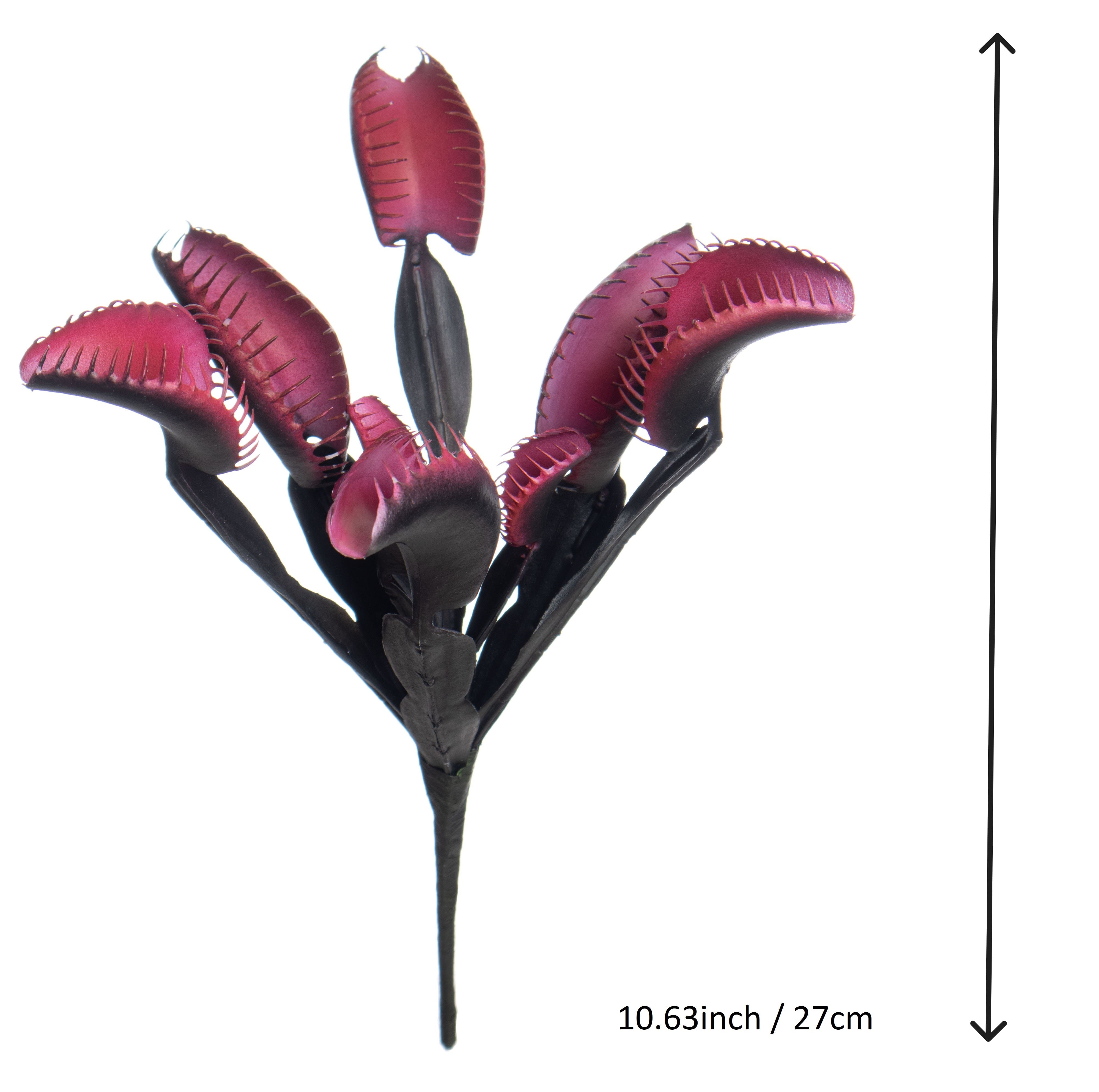 10.5" Black & Pink Venus Flytrap Bush by Ashland®