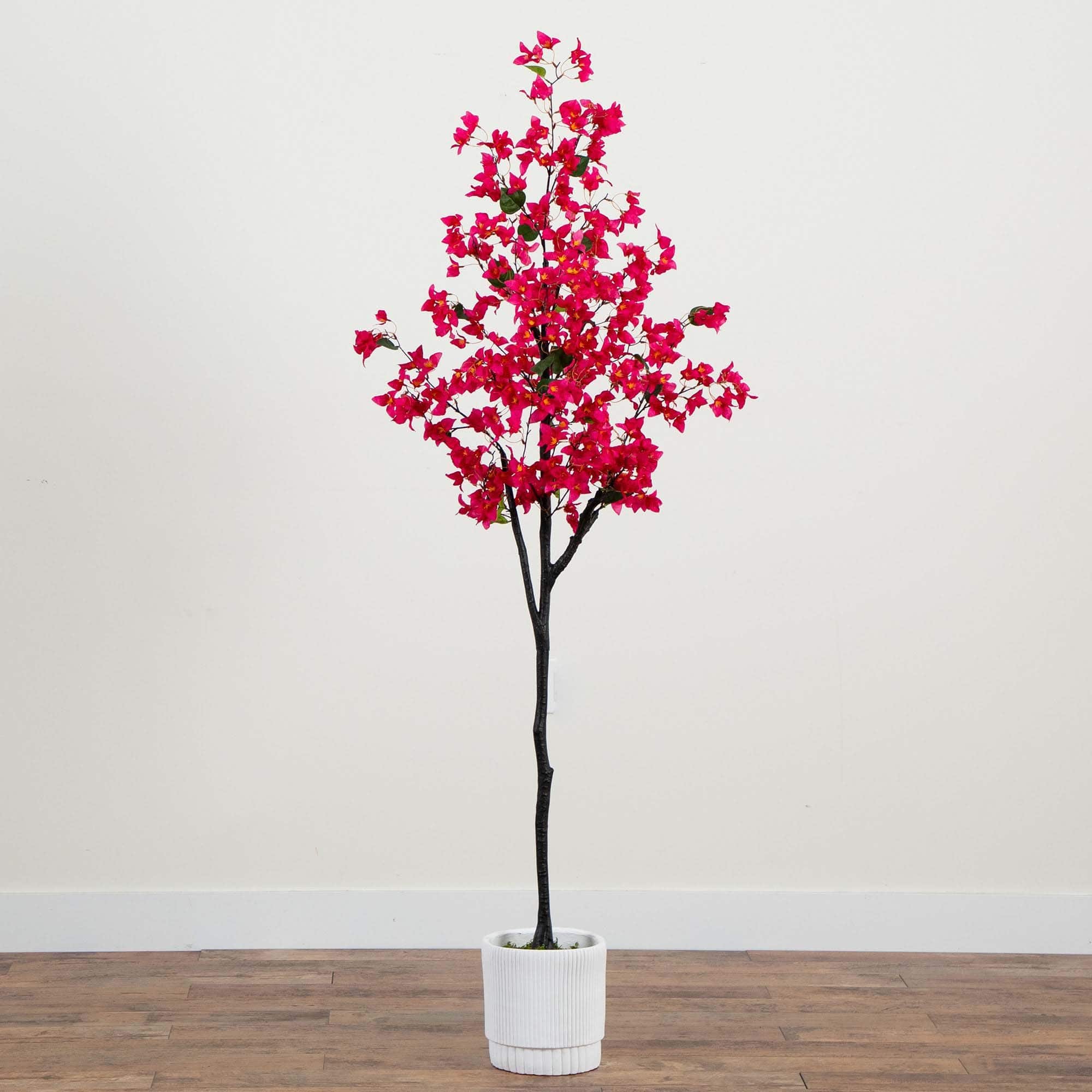 6ft. Bougainvillea Tree with White Decorative Planter