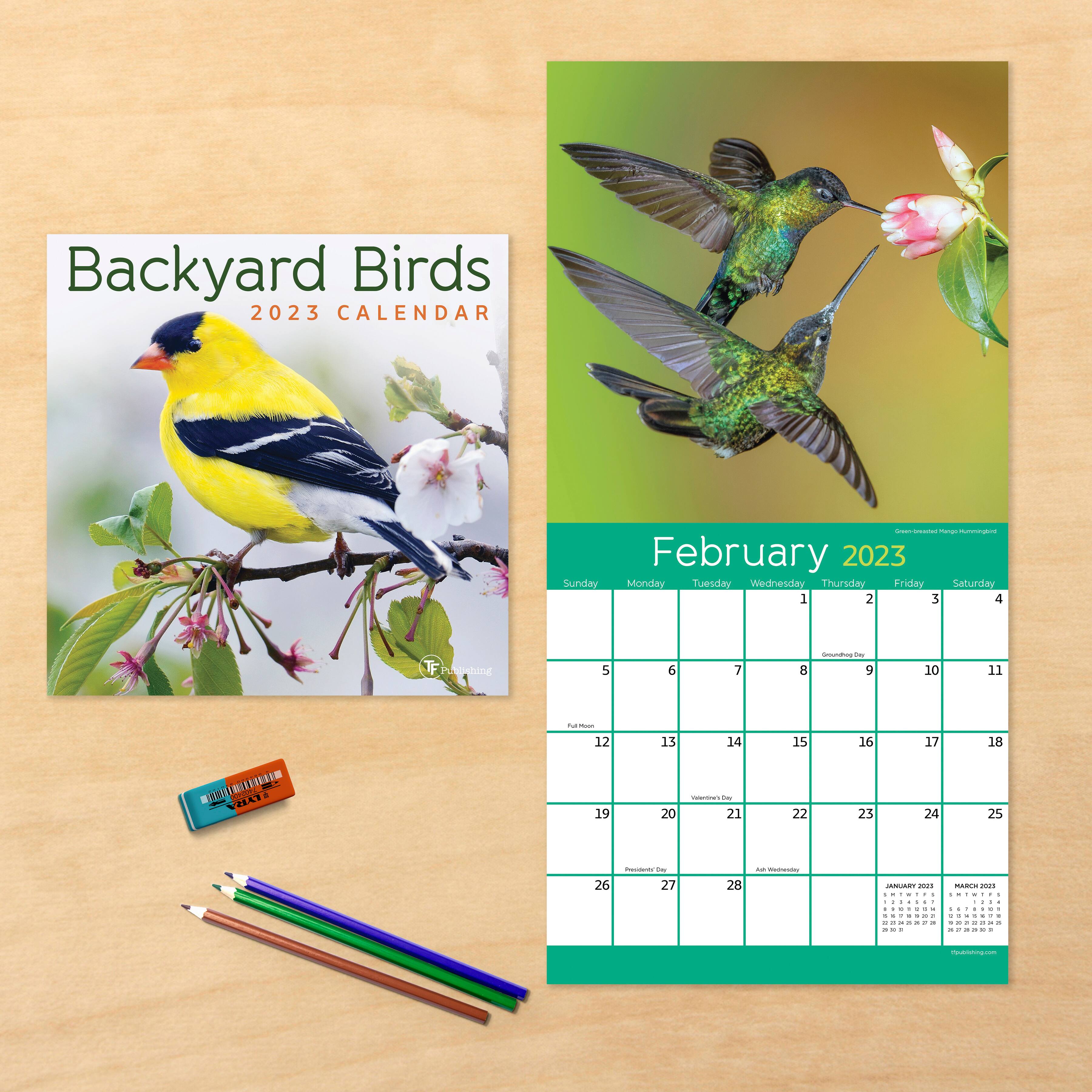 TF Publishing 2023 Backyard Birds Mini Calendar Michaels