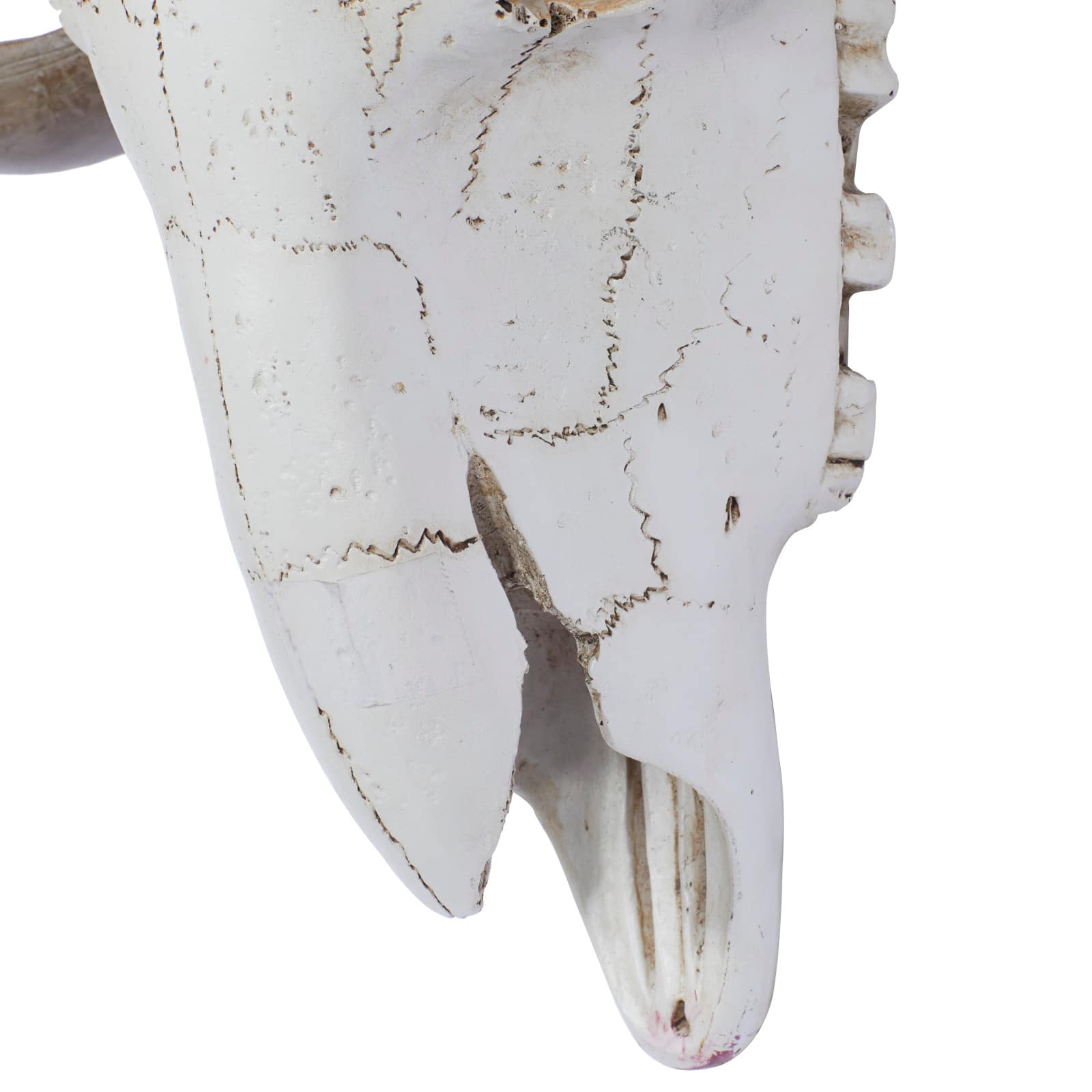 White Skull Polystone Wall D&#xE9;cor