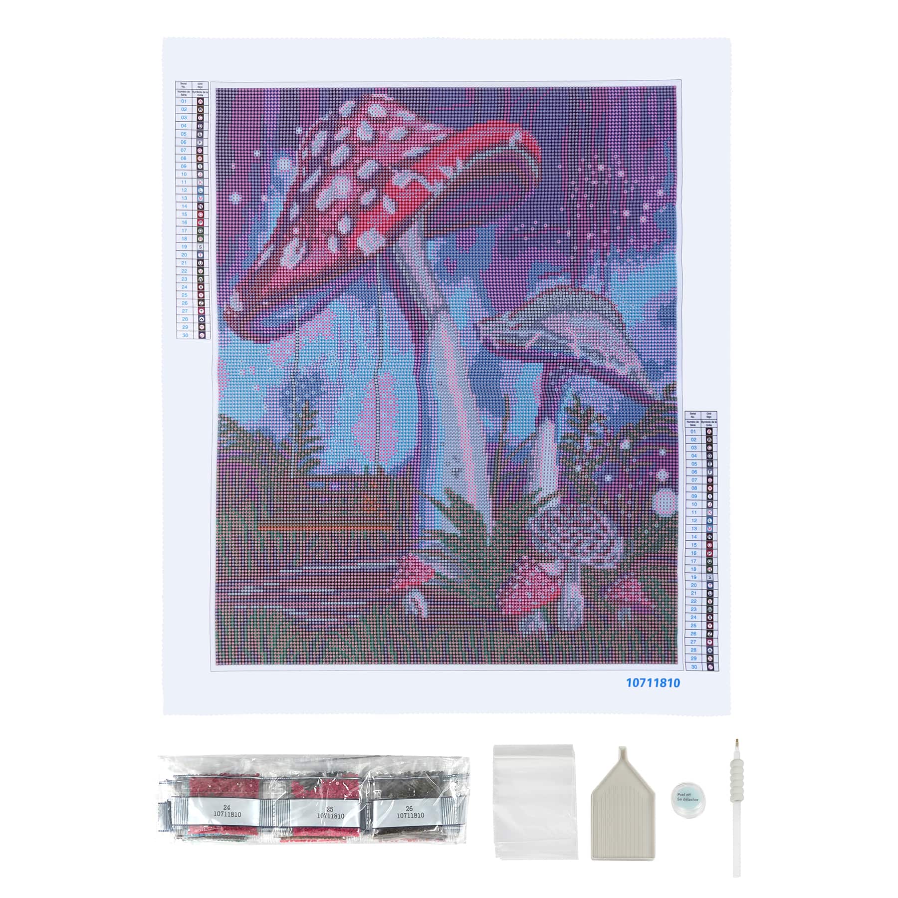 Psychedelic Mushroom Diamond Painting Kit 30cm x 40cm Round Drill