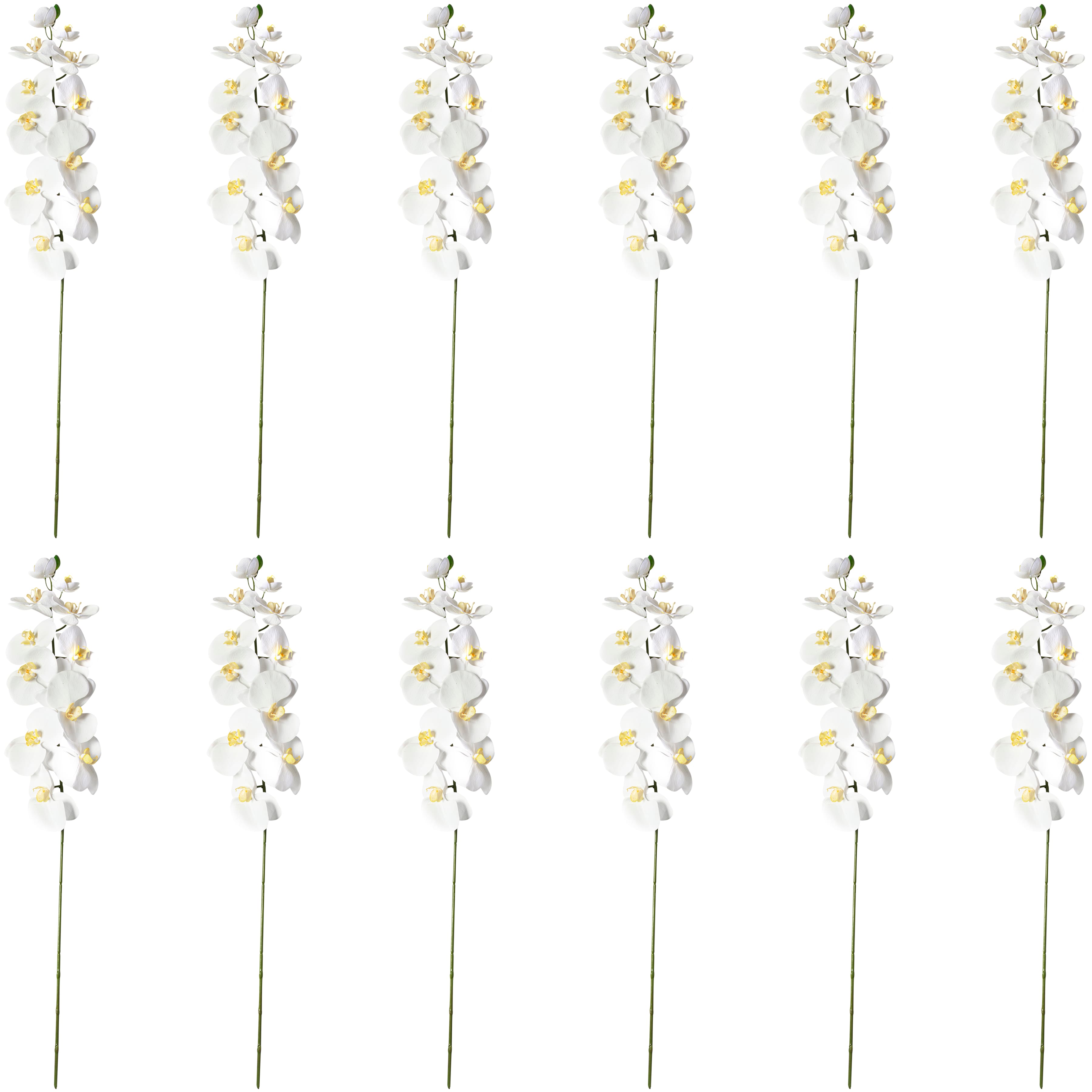 12 Pack: White Orchid Stem by Ashland&#xAE;