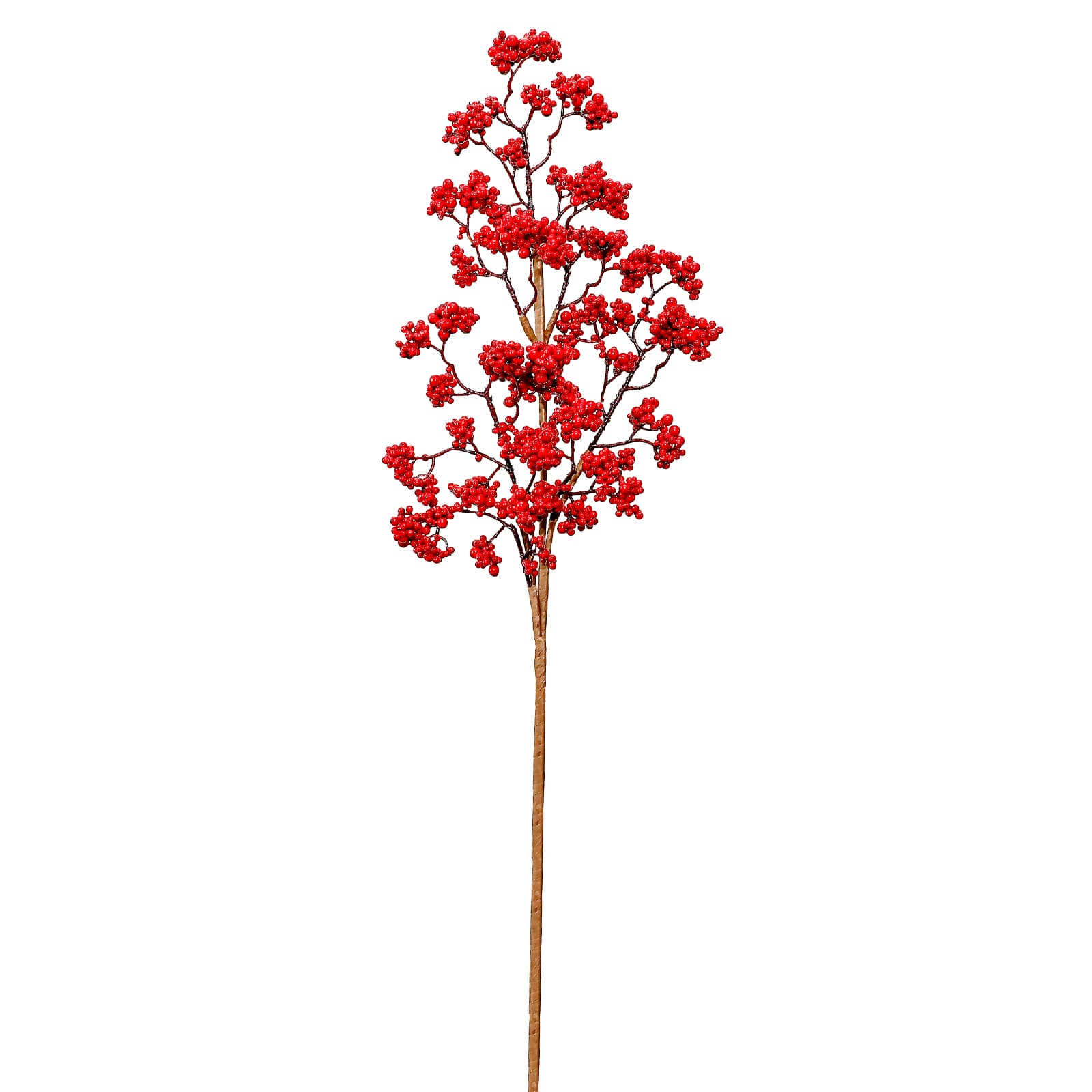 33&#x22; Red Berry Bush by Ashland&#xAE;