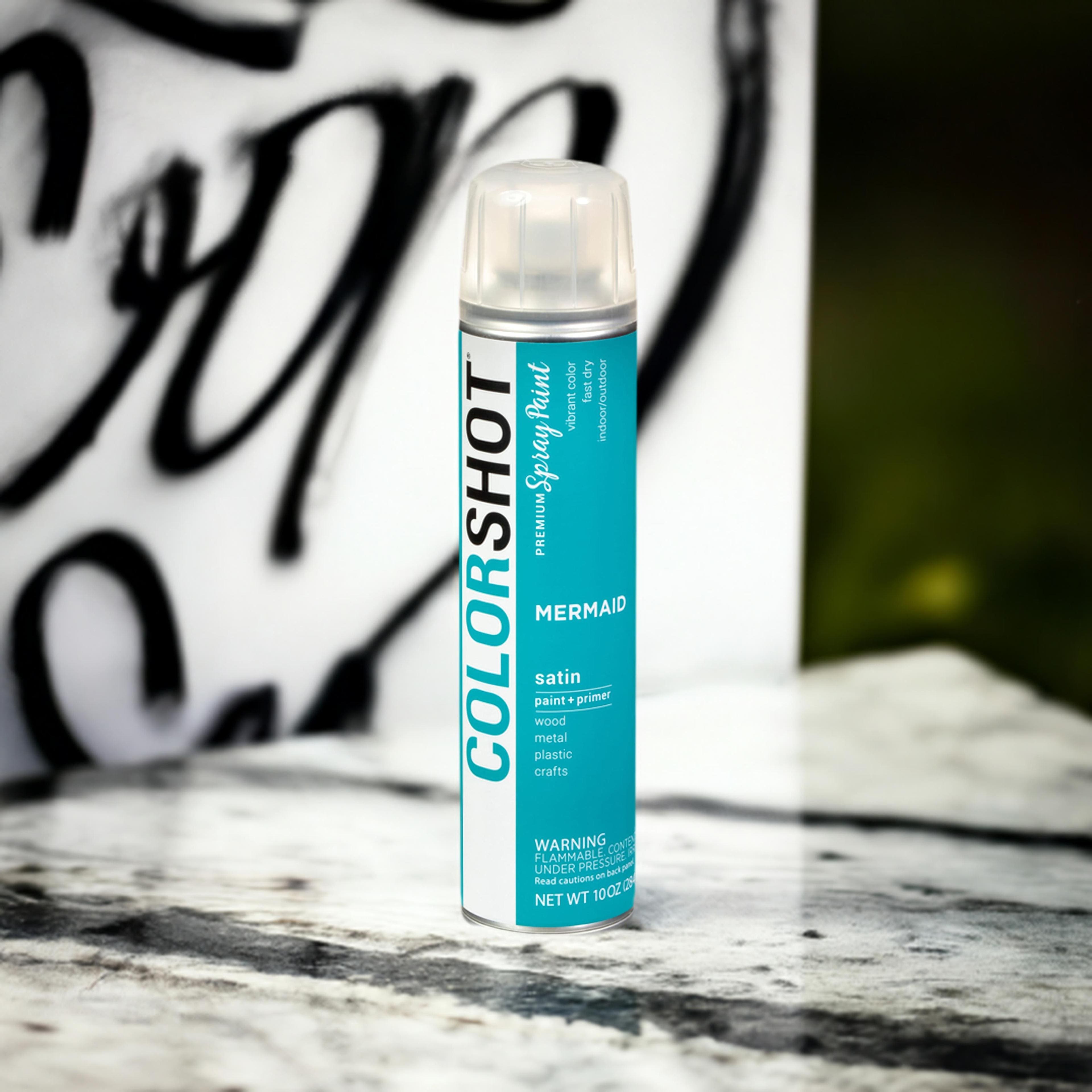 COLORSHOT&#xAE; Premium Satin Spray Paint