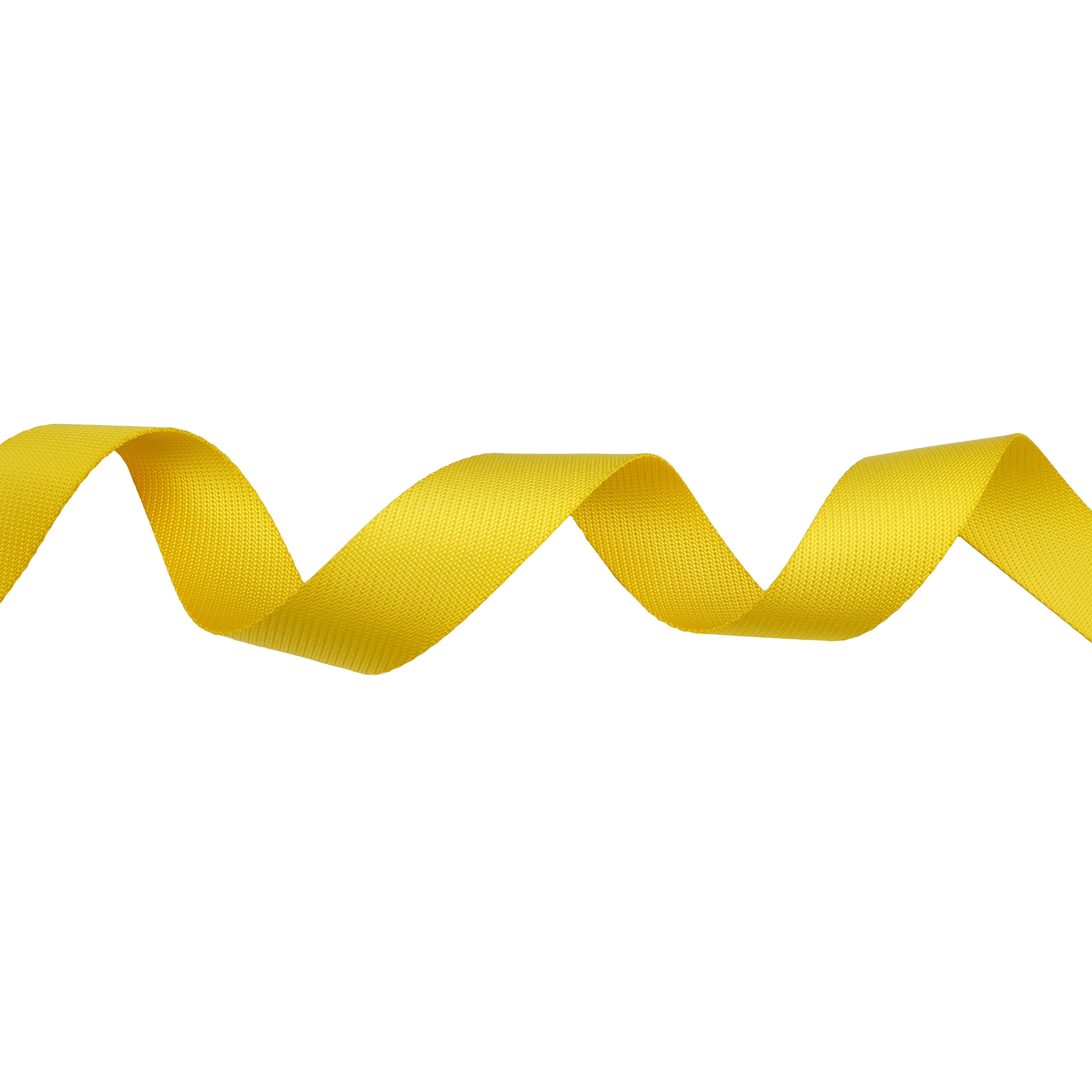 1.5&#x22; Belting Trim by Celebrate It&#xAE;