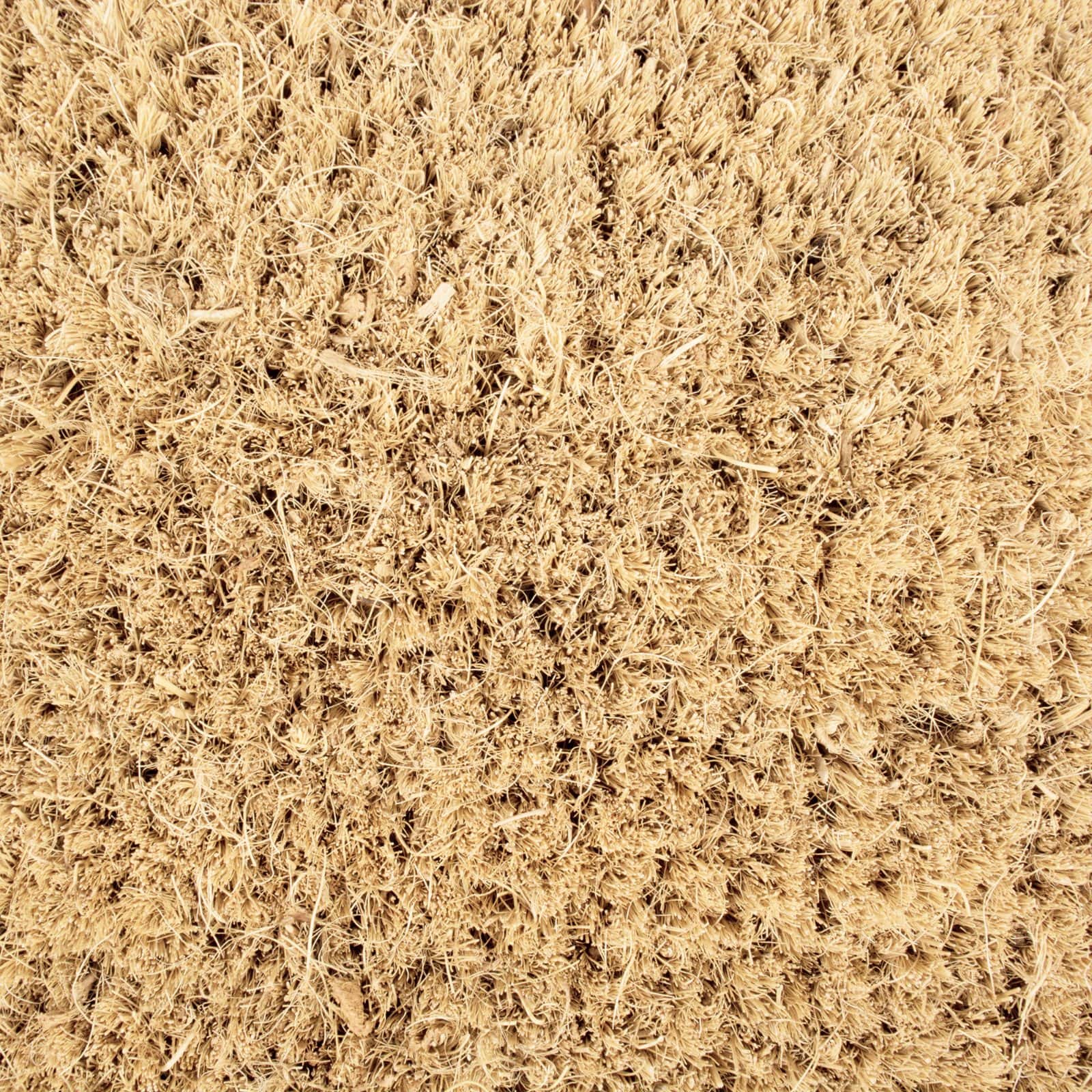 DII® Home Dog Doormat