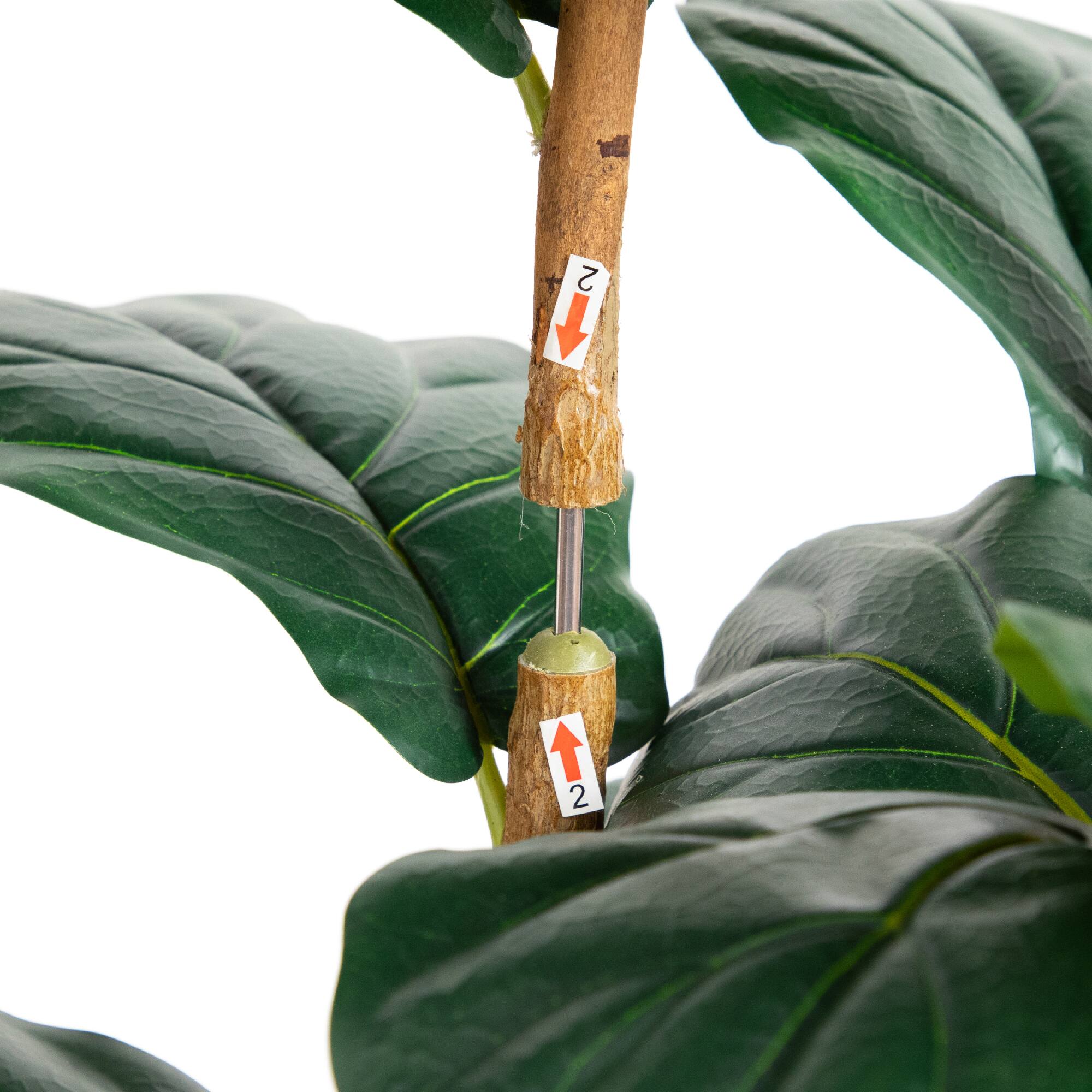 5ft. Fiddle Leaf Tree in Decorative White Planter