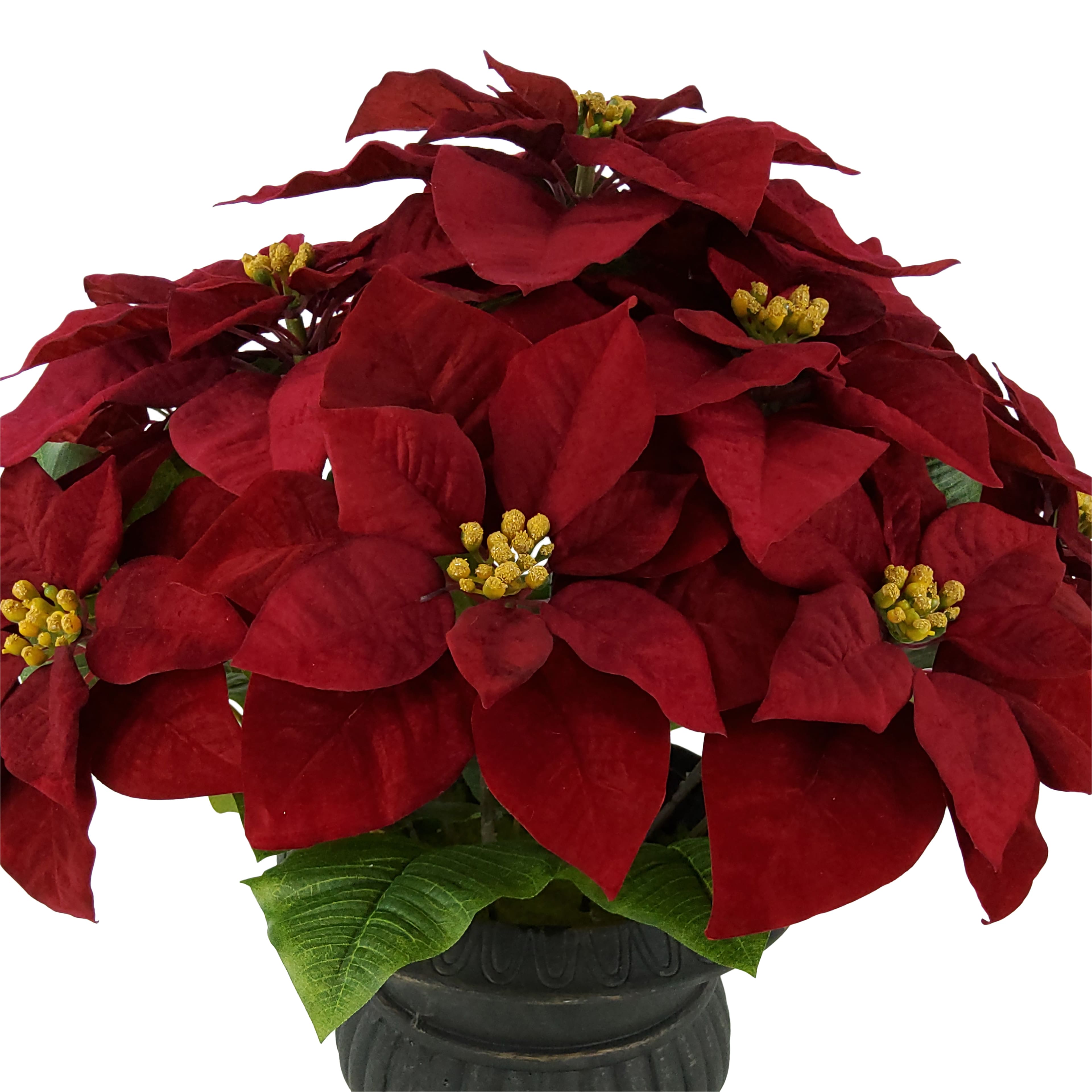 24&#x22; Burgundy in Black Urn by Ashland&#xAE;