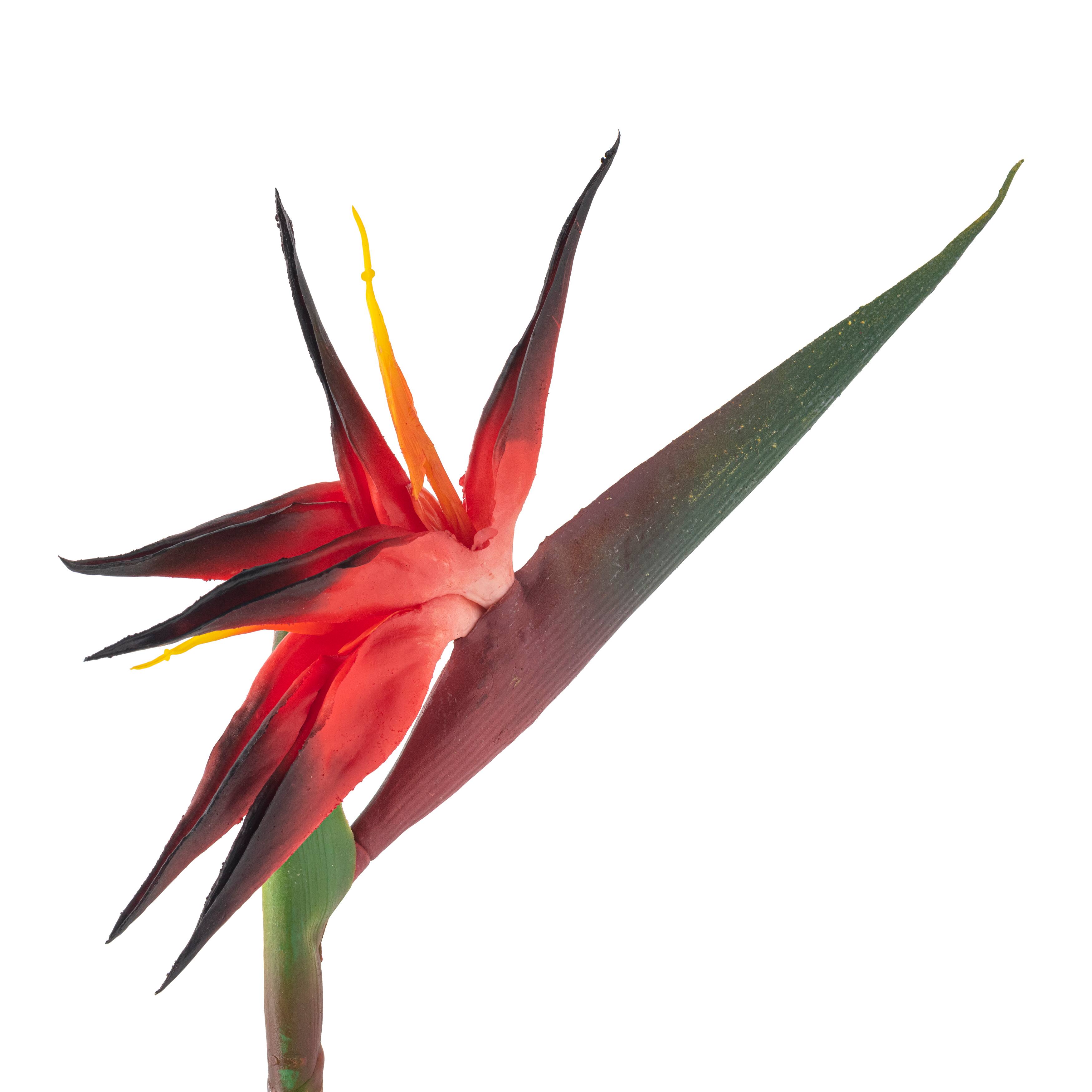 Rameau d&#x2019;oiseaux du paradis rouge et orange de Ashland&#xAE; 