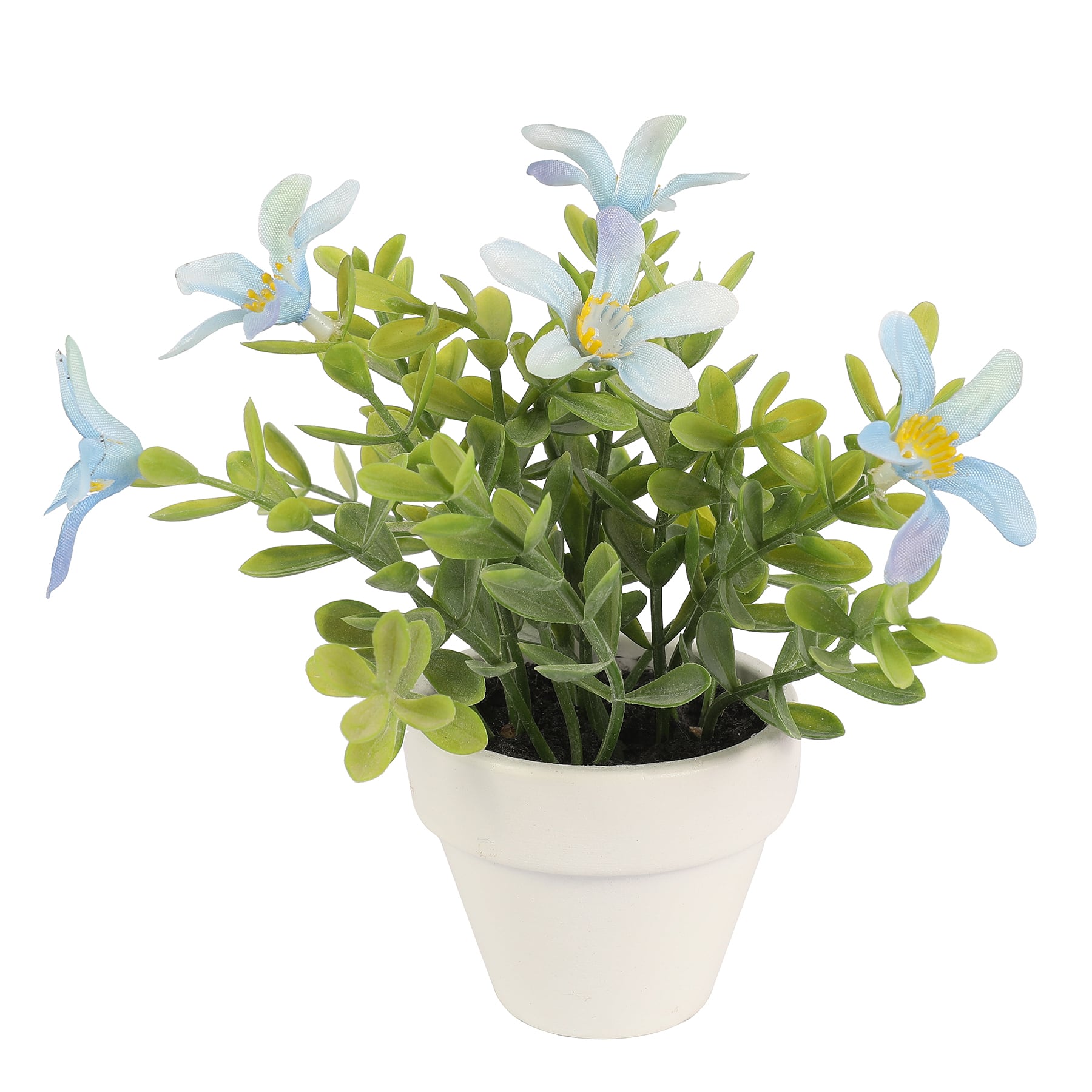 Assorted Micro Premade Flowering Plant by Ashland&#xAE;