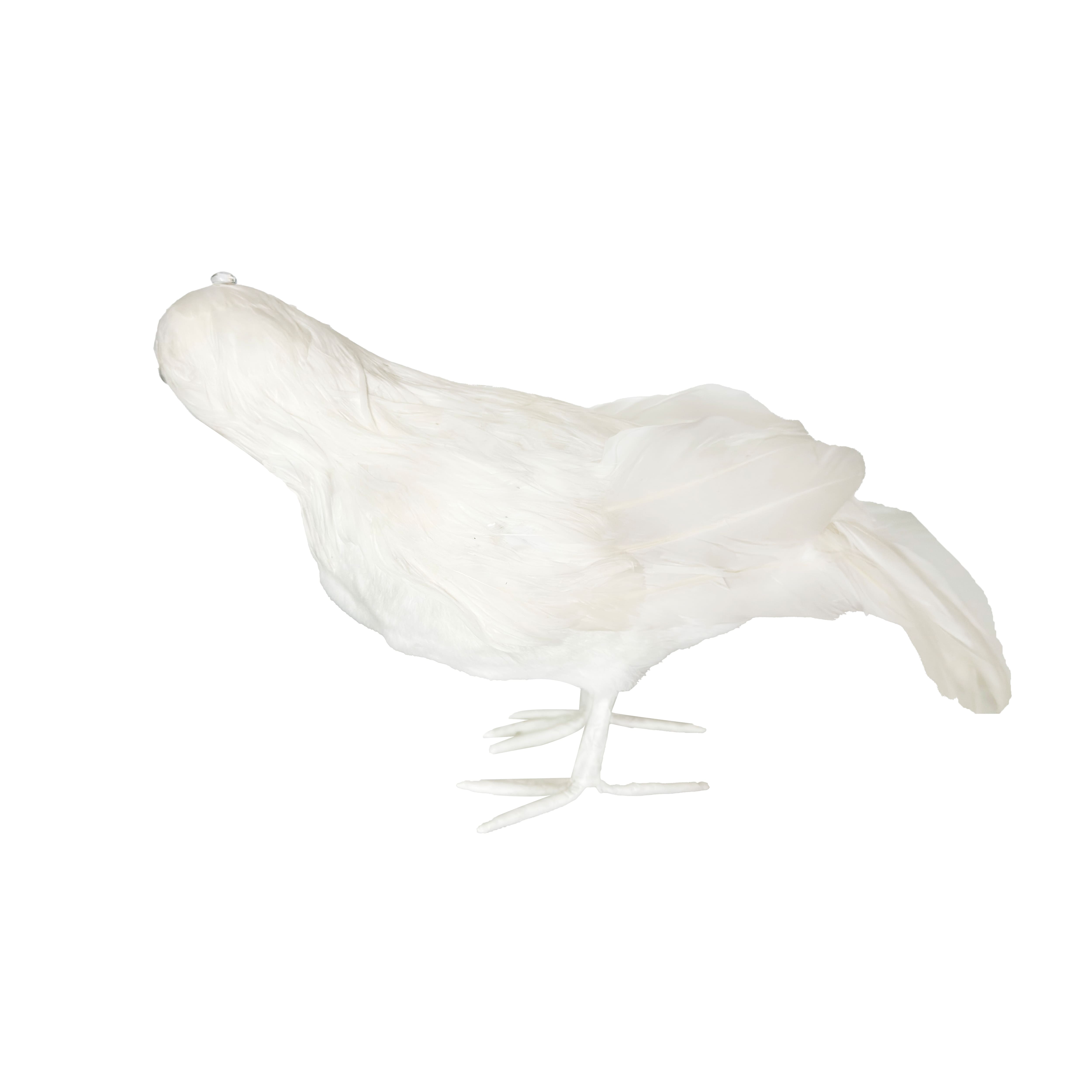 7.5&#x22; White Crow by Ashland&#xAE;