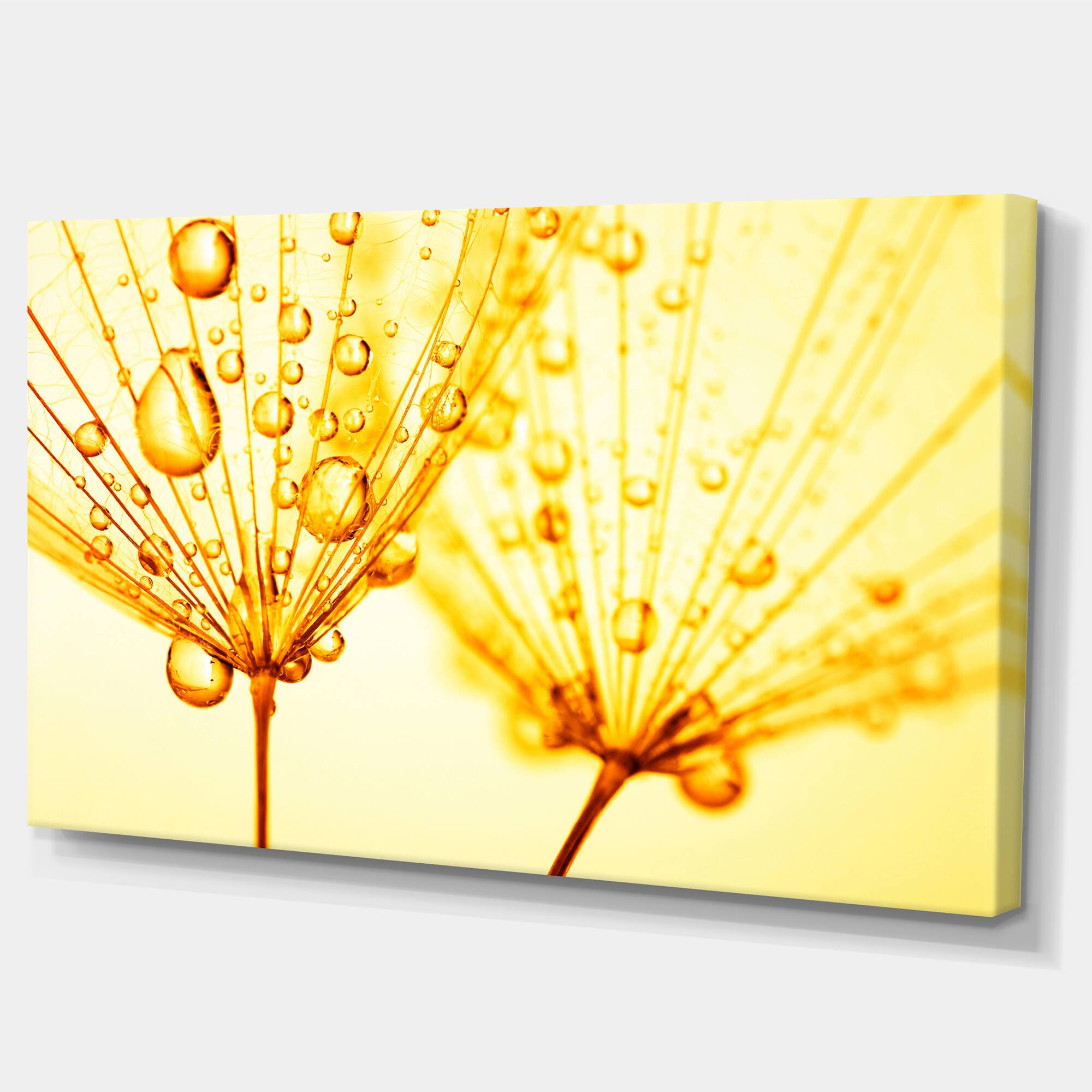 Designart - Dandelion Seeds with Water Drops - Floral Canvas Art Print