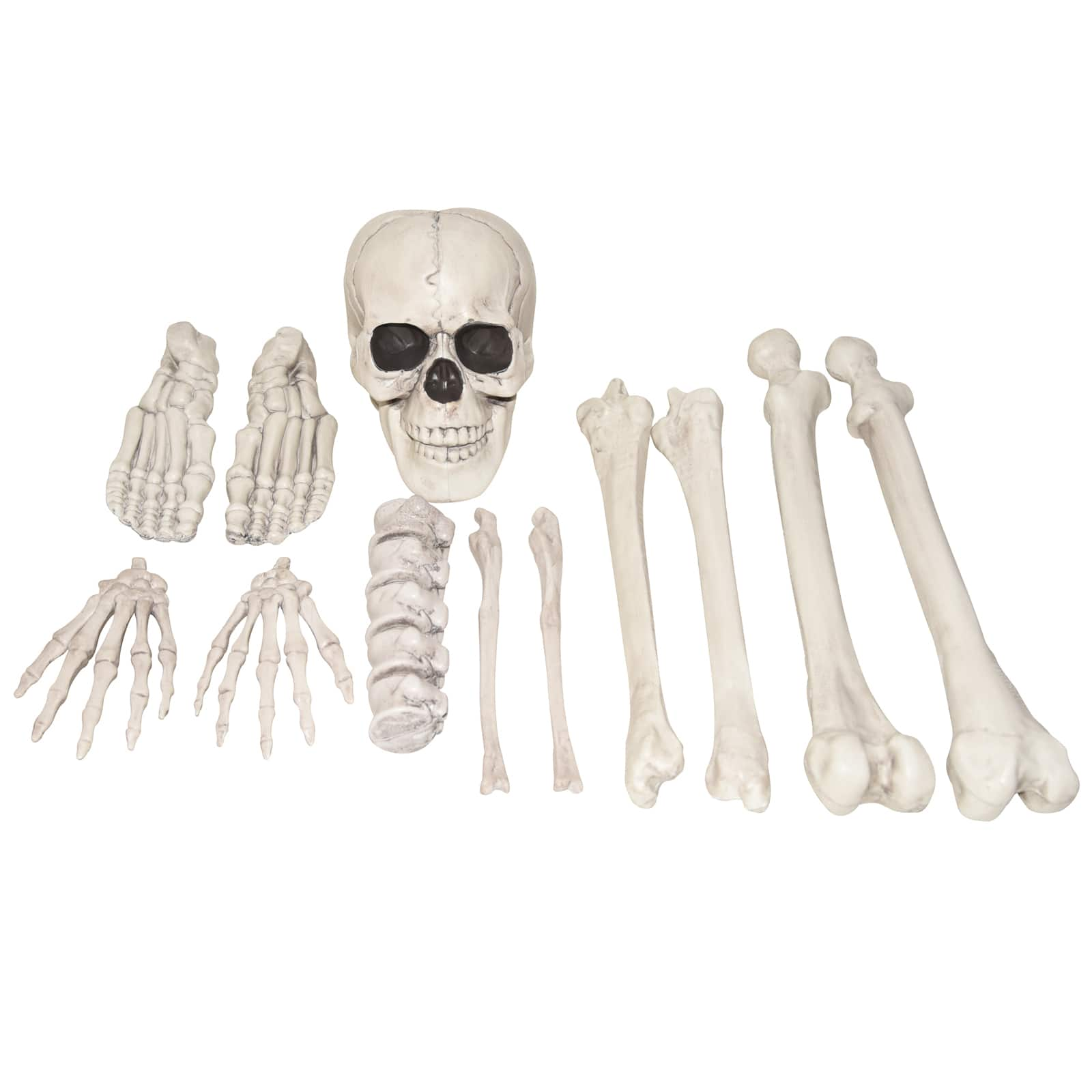 Bag of Skeleton Bones by Ashland&#xAE;