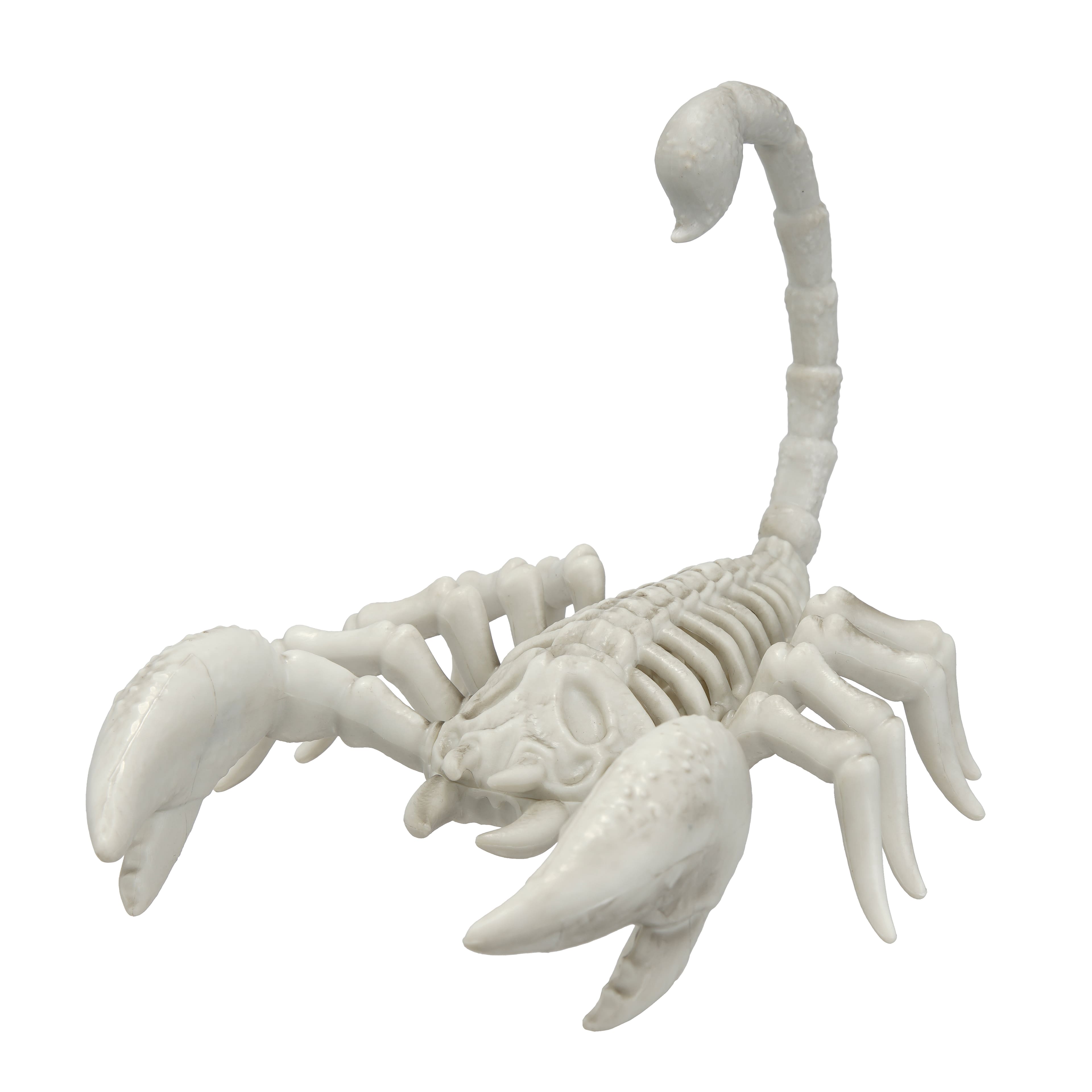 7.5&#x22; Scorpion Skeleton by Ashland&#xAE;