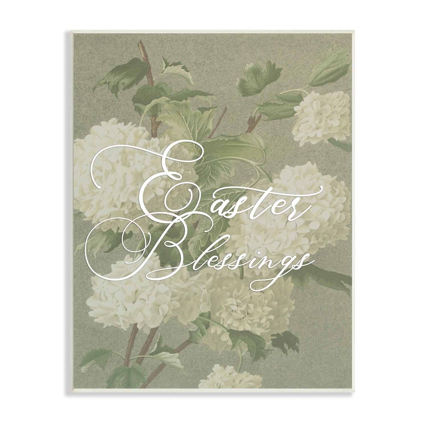 Stupell Industries Easter Blessings Sentiment Vintage White Hydrangea Florals Green Wall Plaque Art