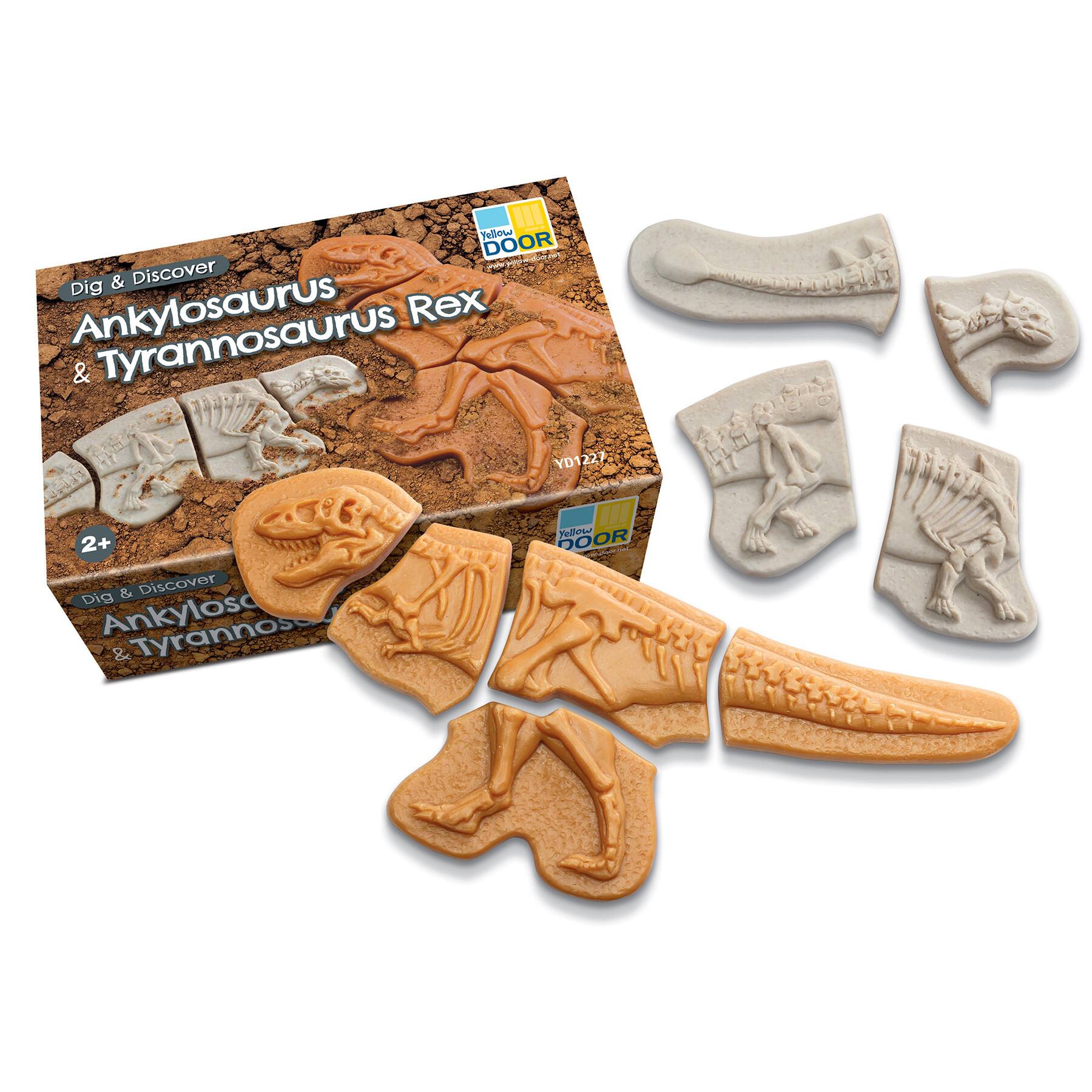 Yellow Door Dig & Discover Dinosaur Skeletons Set
