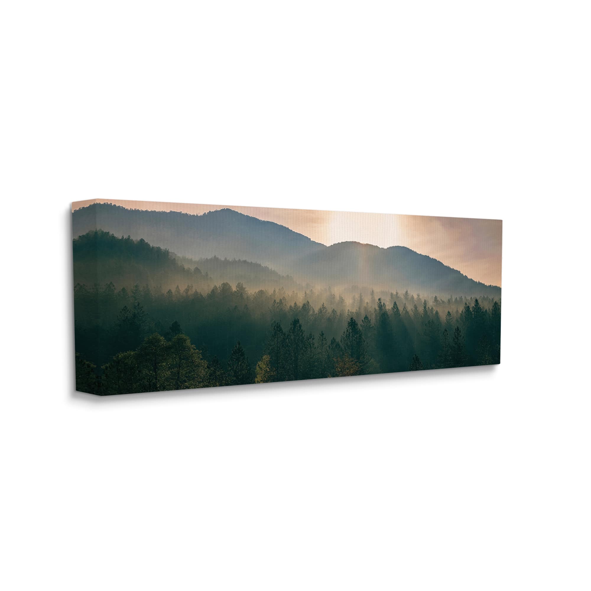 Stupell Industries Morning Sun over Misty Tree Forest Landscape Canvas Wall Art