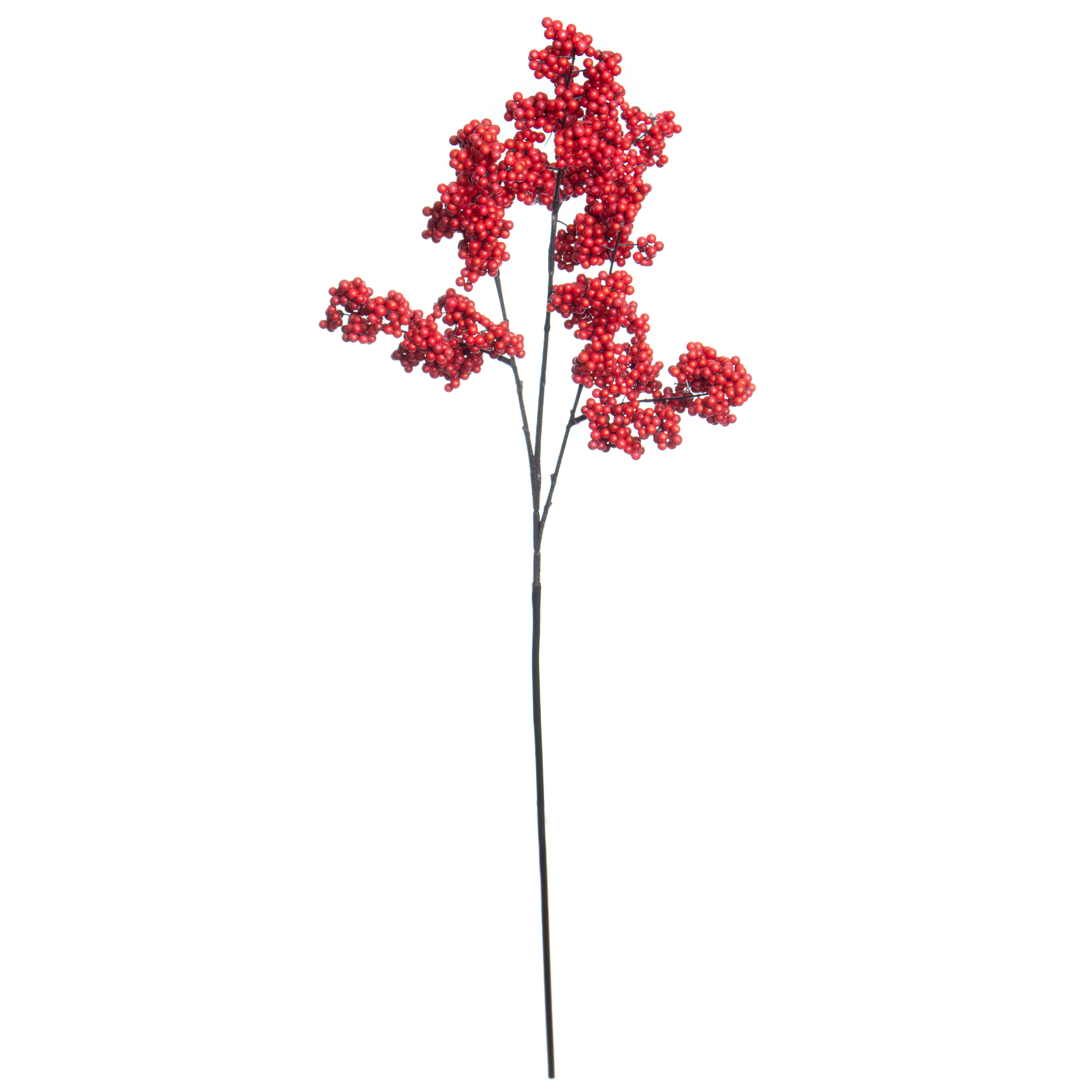 28.75&#x22; Dark Red Berry Stem by Ashland&#xAE;