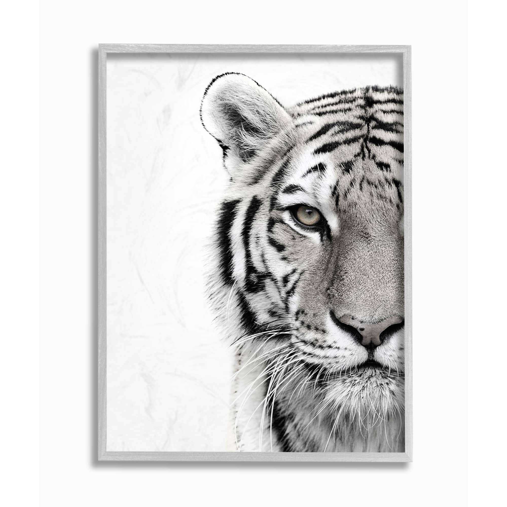Stupell Industries White Tiger Black & White Photo Wall Accent with Gray Frame