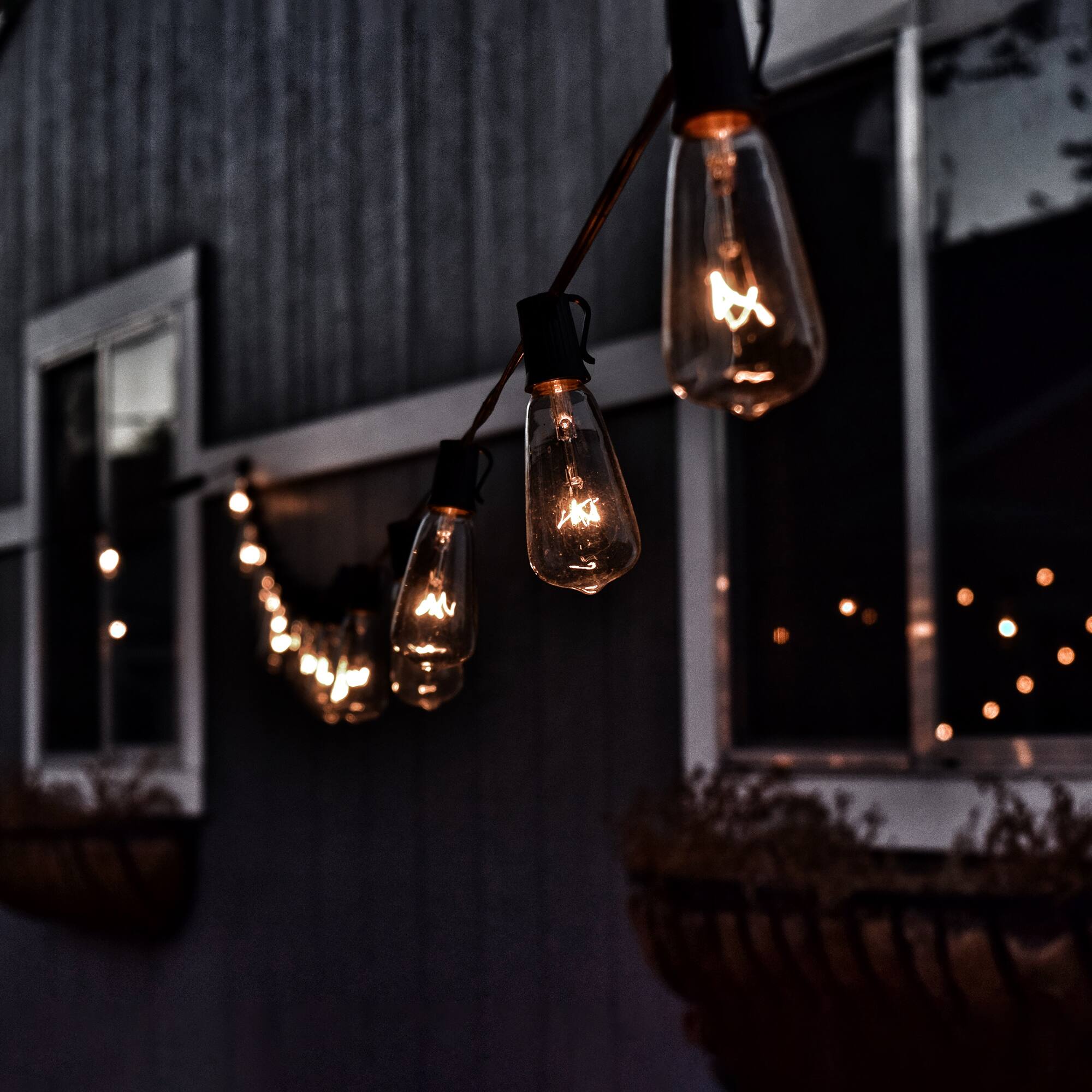 10ct. Clear Edison Glass Patio String Lights with Green Wire