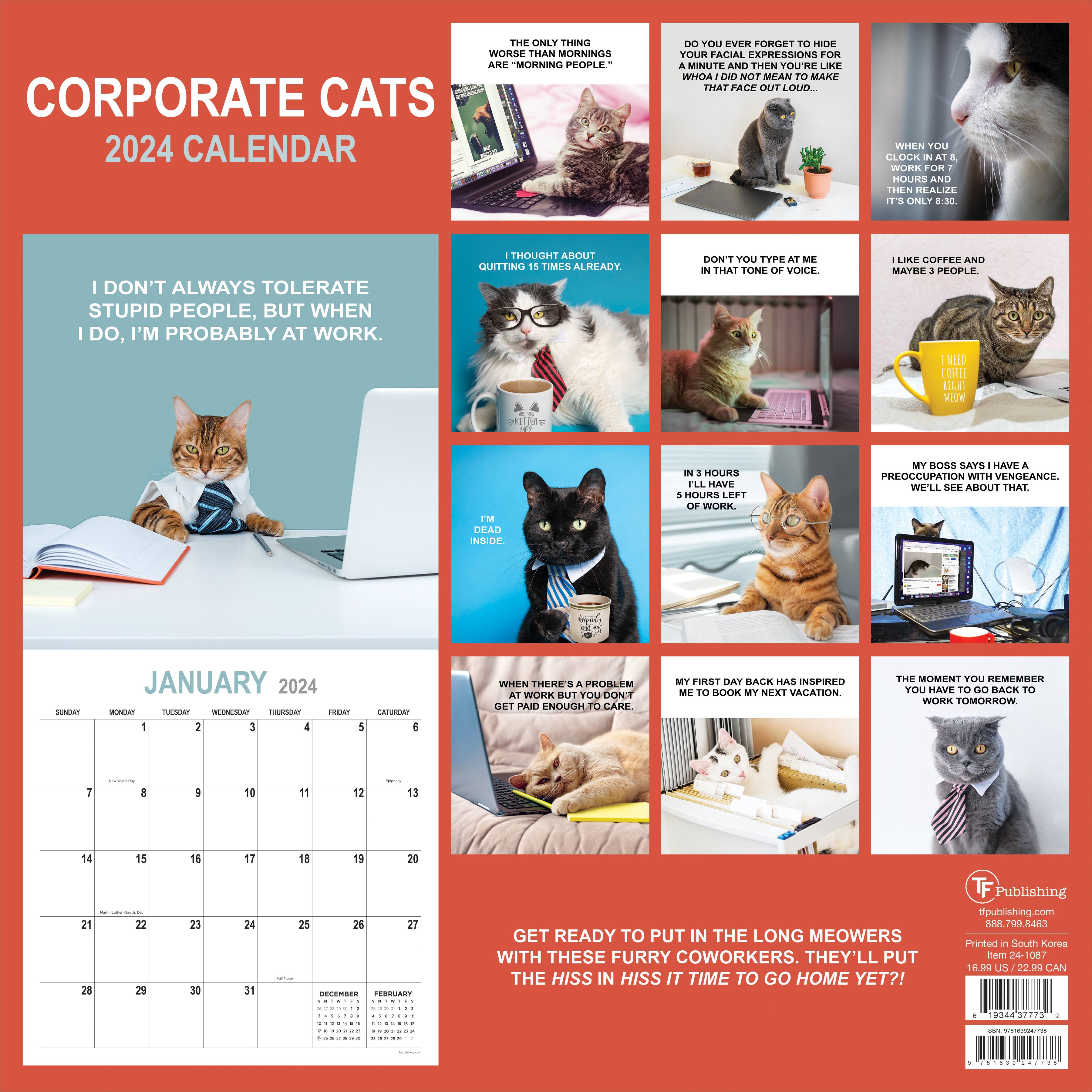 TF Publishing 2024 Corporate Cats Wall Calendar