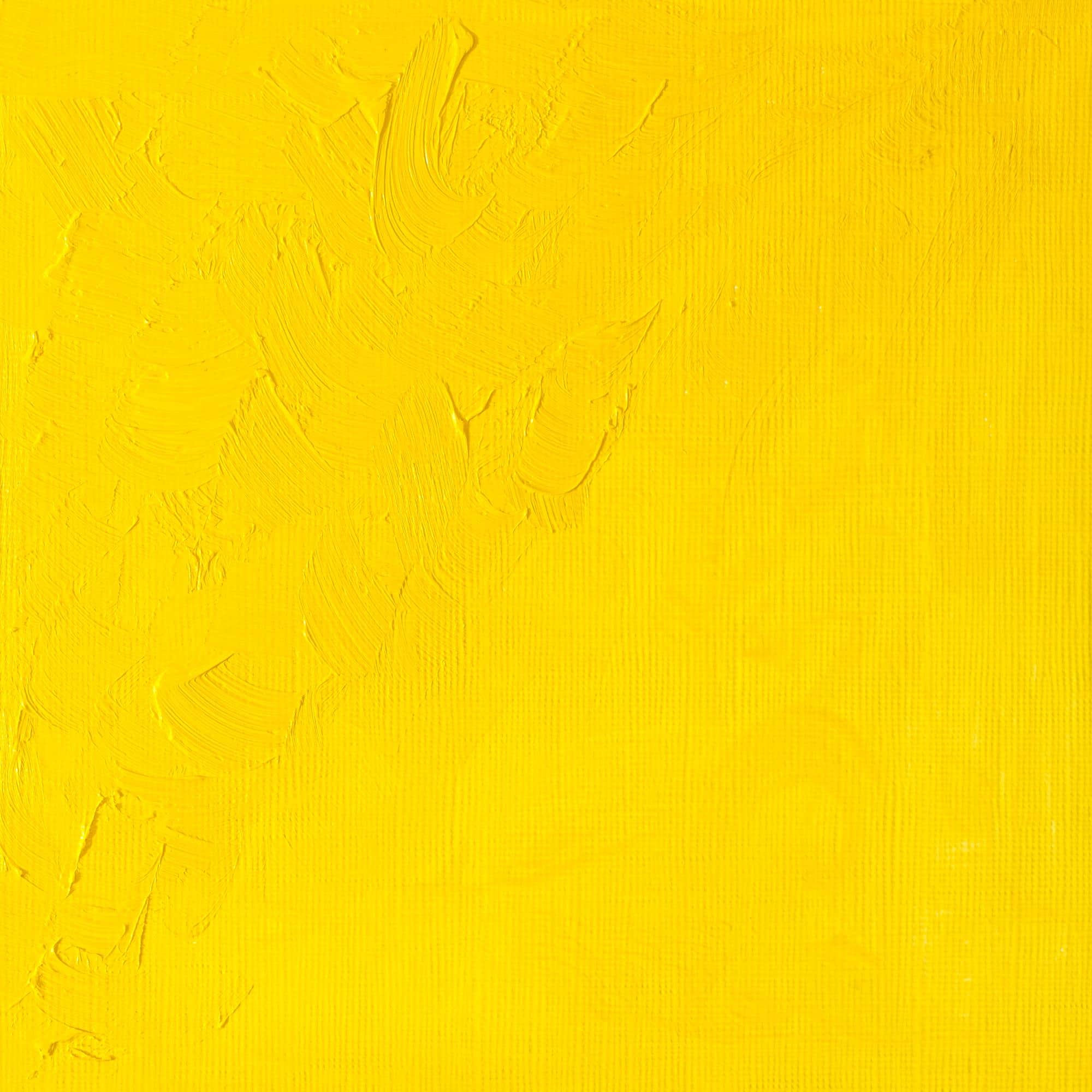 Winsor &#x26; Newton&#xAE; 1.25oz. Winton Oil Colour&#x2122; Tube
