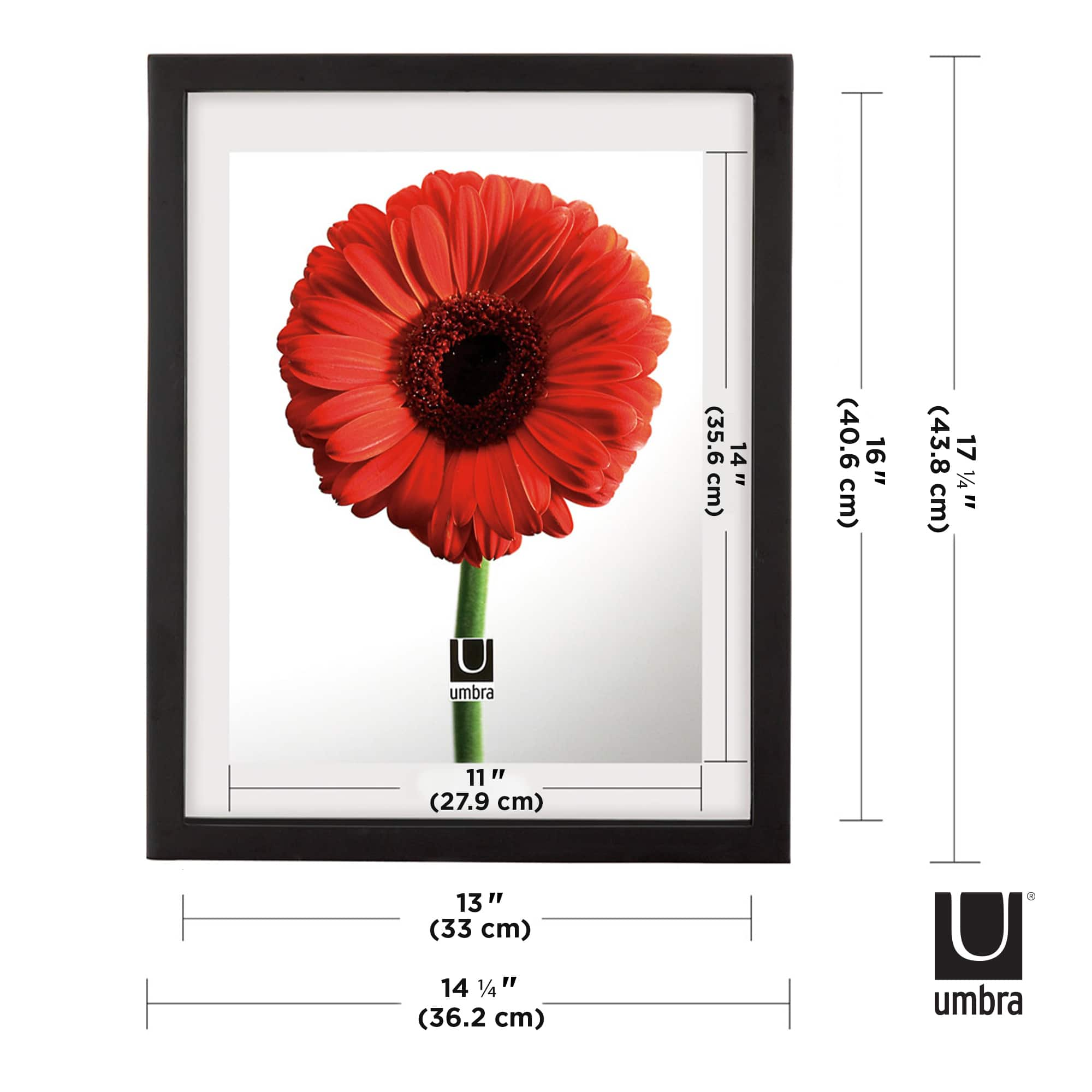 Umbra Black Document 16&#x22; x 13&#x22; Rectangular Frame