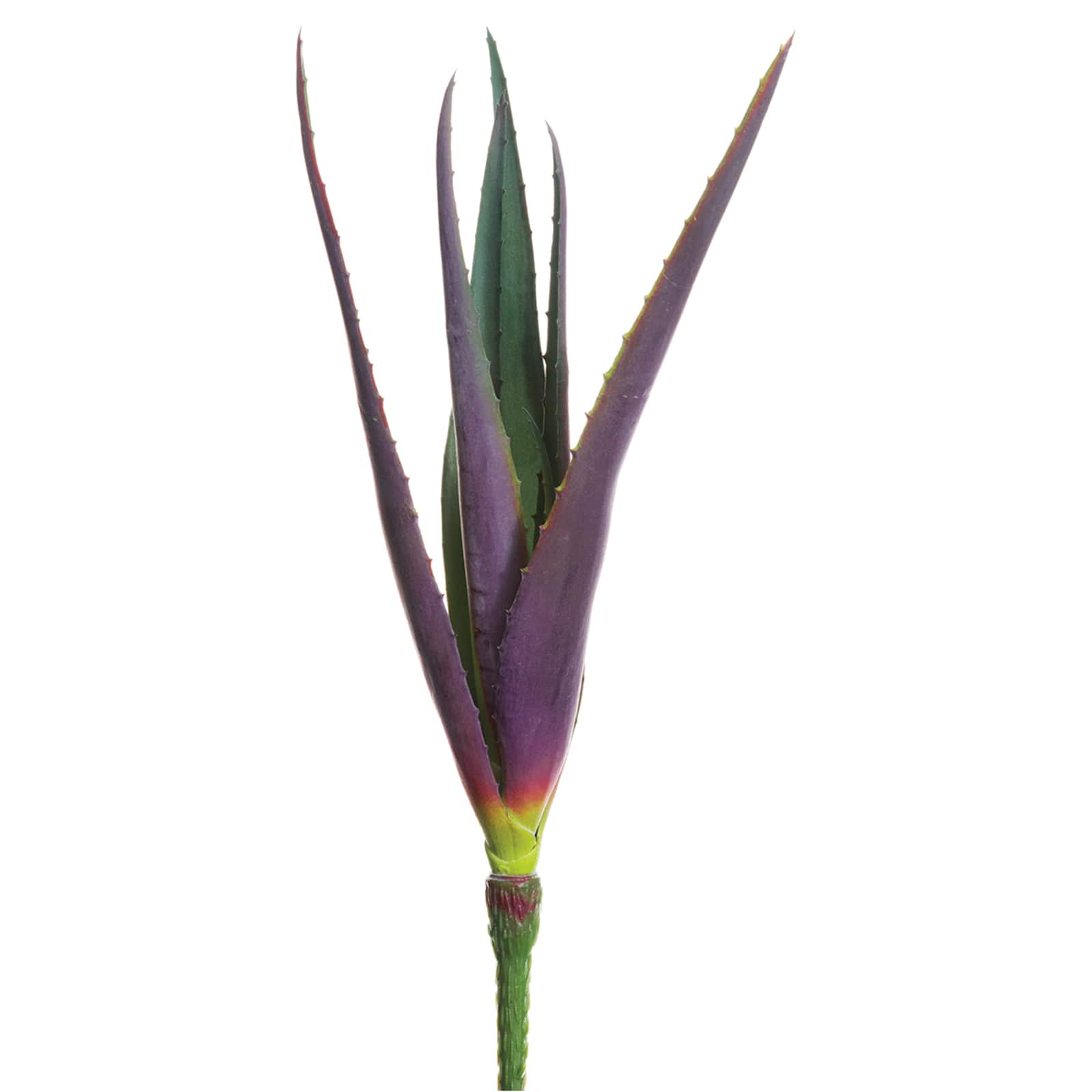 Soft Touch Purple &#x26; Green Narrow Spiky Agave Pick 